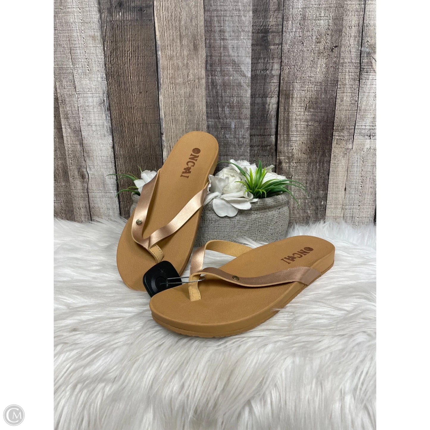 Sandals Flats By Cme In Brown, Size: 10