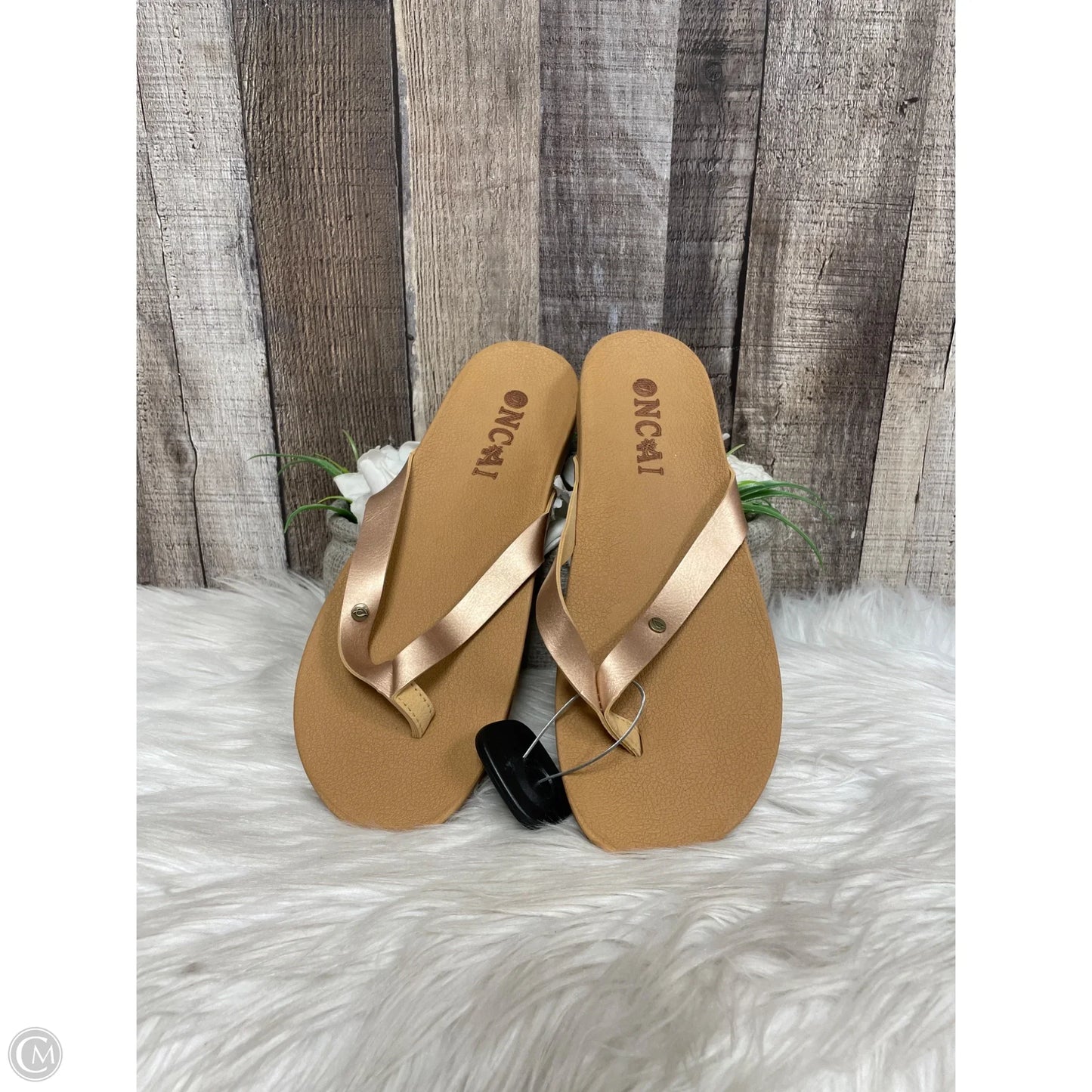 Sandals Flats By Cme In Brown, Size: 10