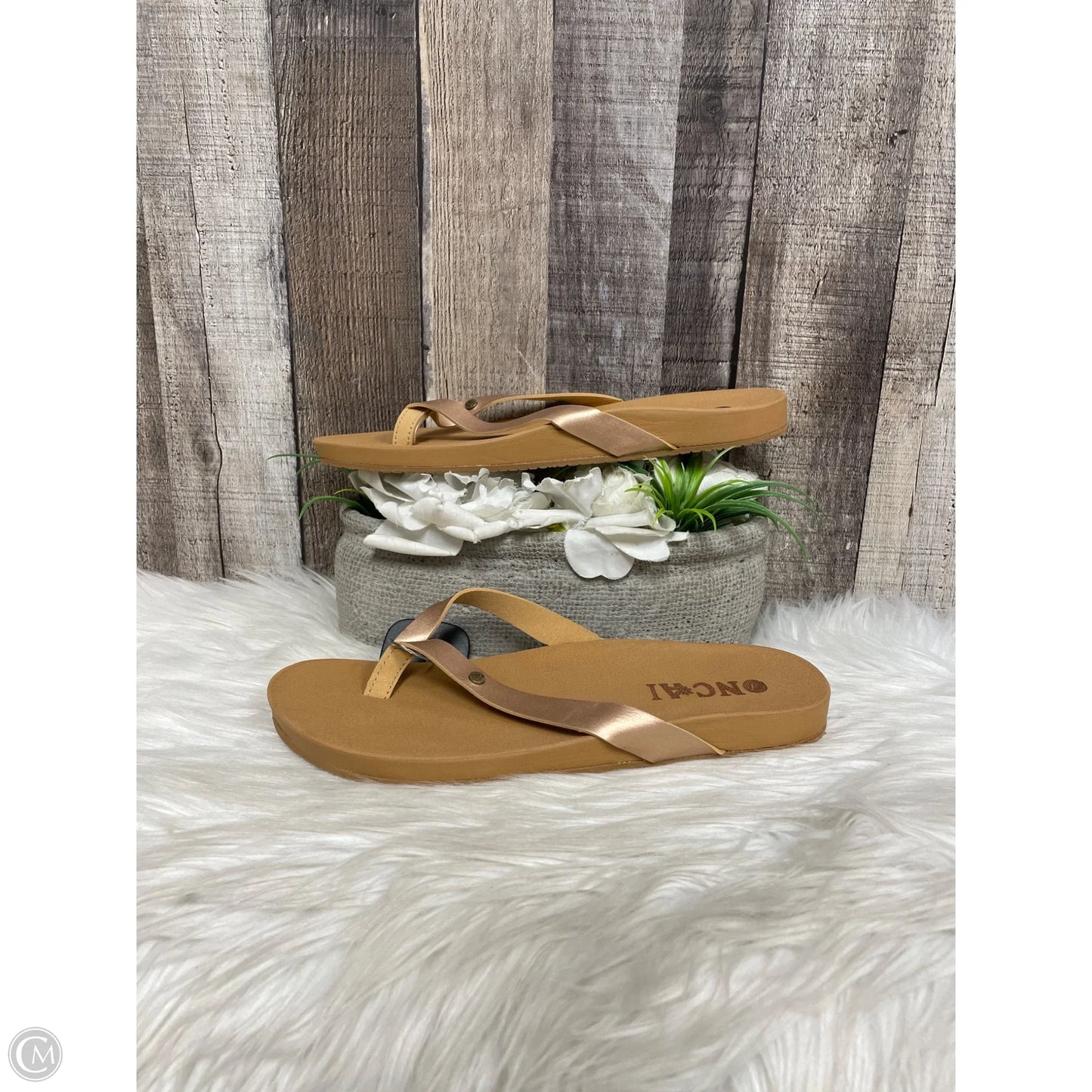 Sandals Flats By Cme In Brown, Size: 10