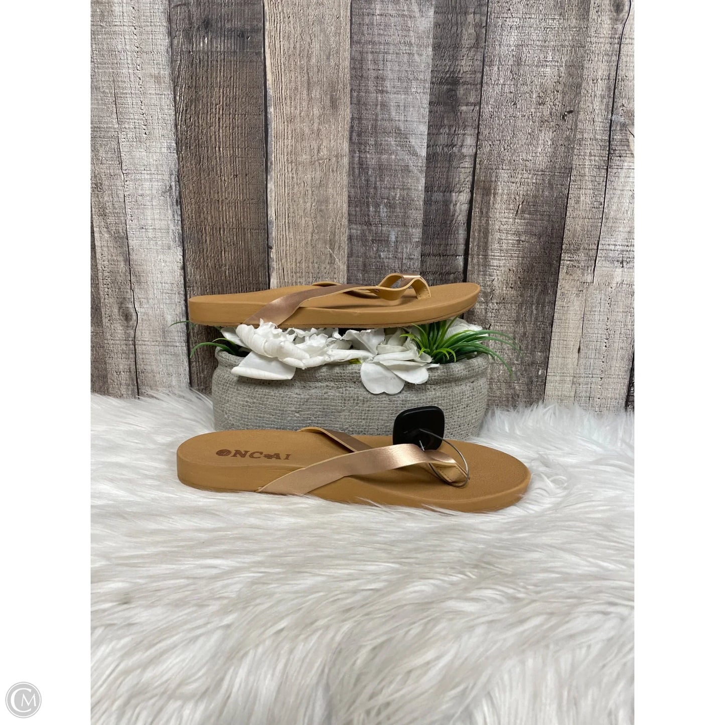 Sandals Flats By Cme In Brown, Size: 10