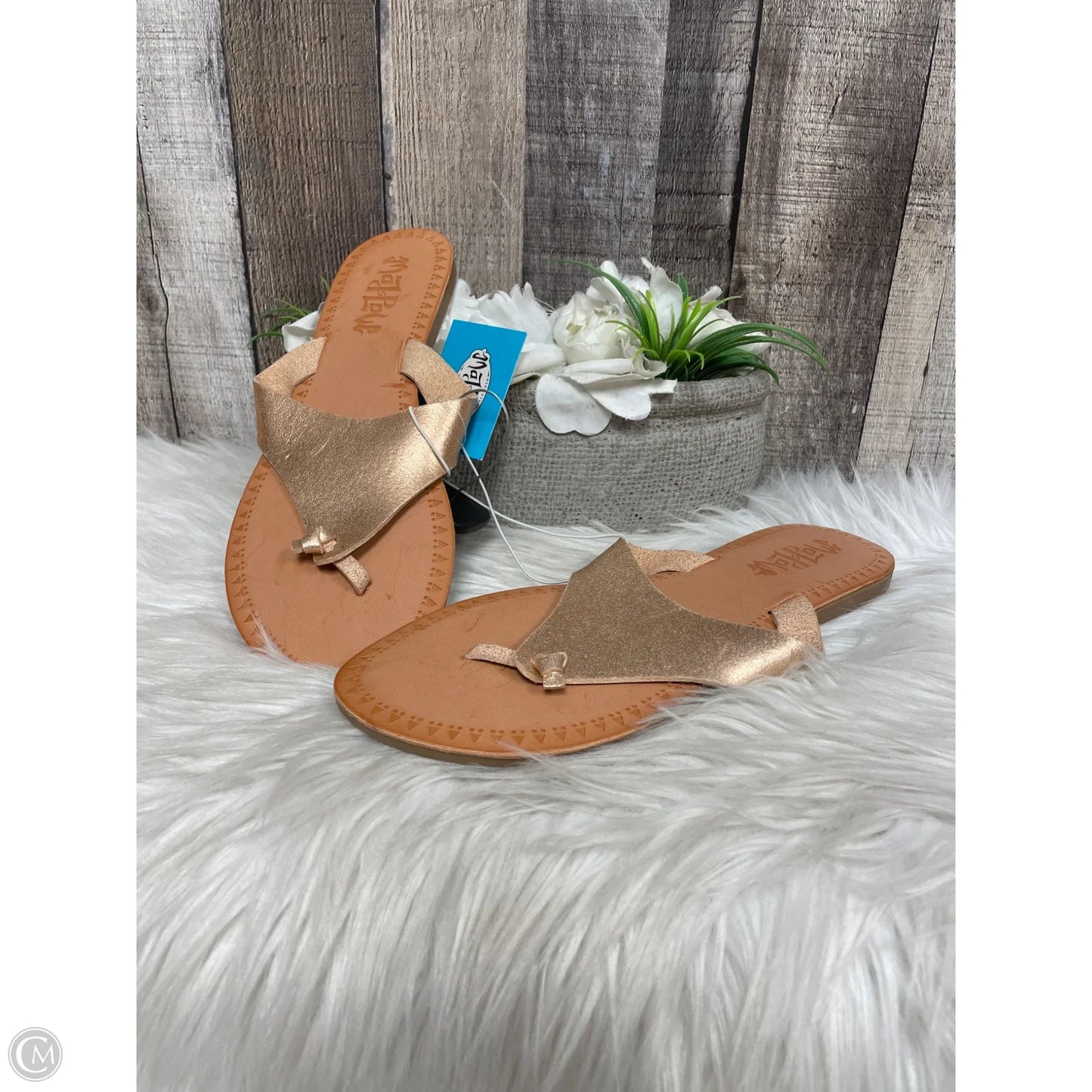 Sandals Flats By Cme In Copper, Size: 9