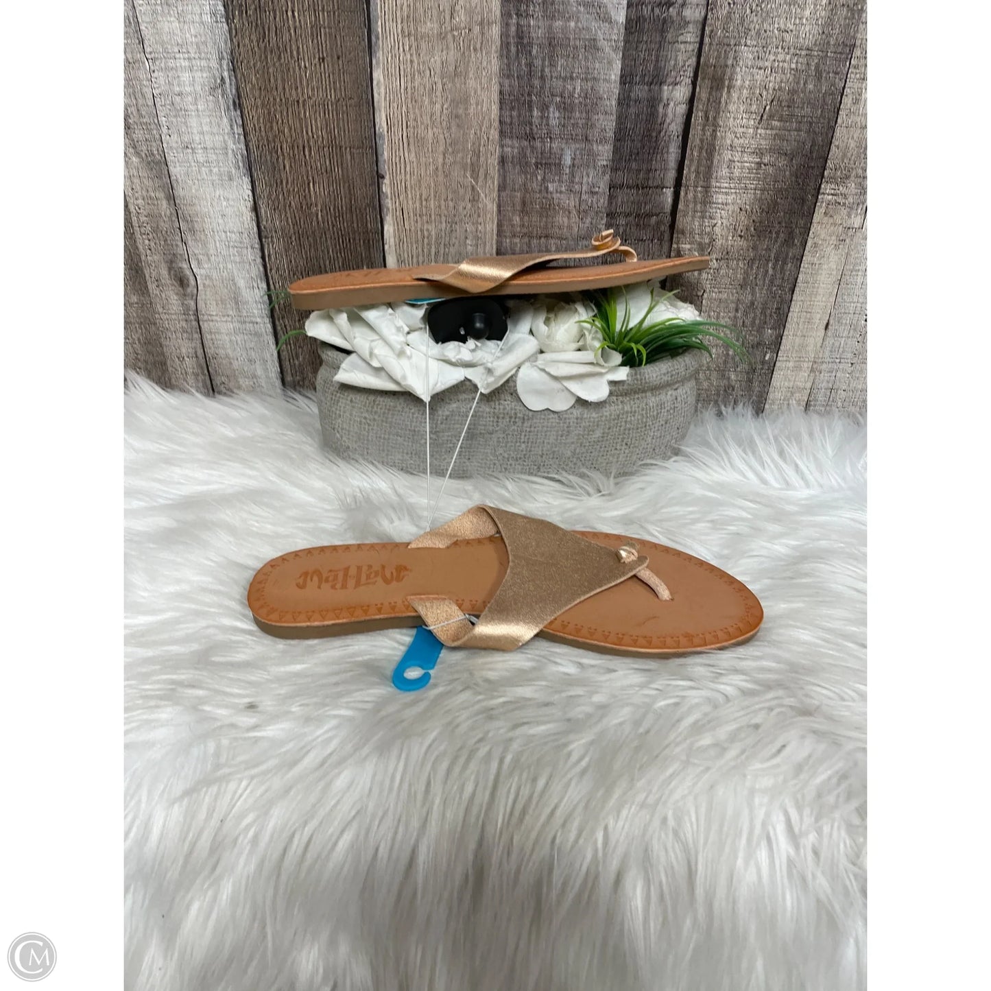 Sandals Flats By Cme In Copper, Size: 9