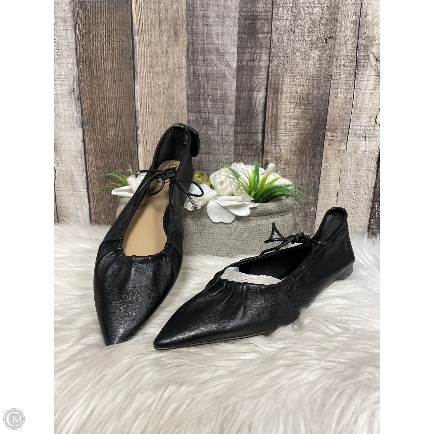 Sandals Flats By Sam Edelman In Black, Size: 8