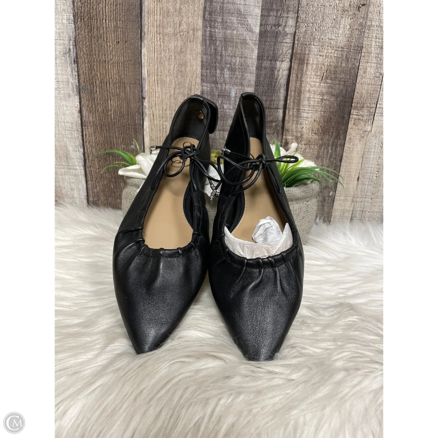 Sandals Flats By Sam Edelman In Black, Size: 8
