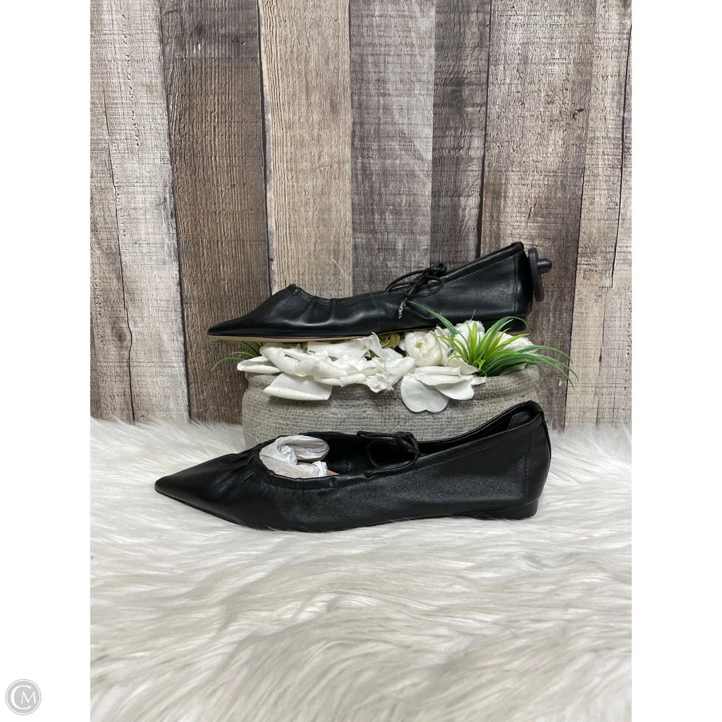 Sandals Flats By Sam Edelman In Black, Size: 8