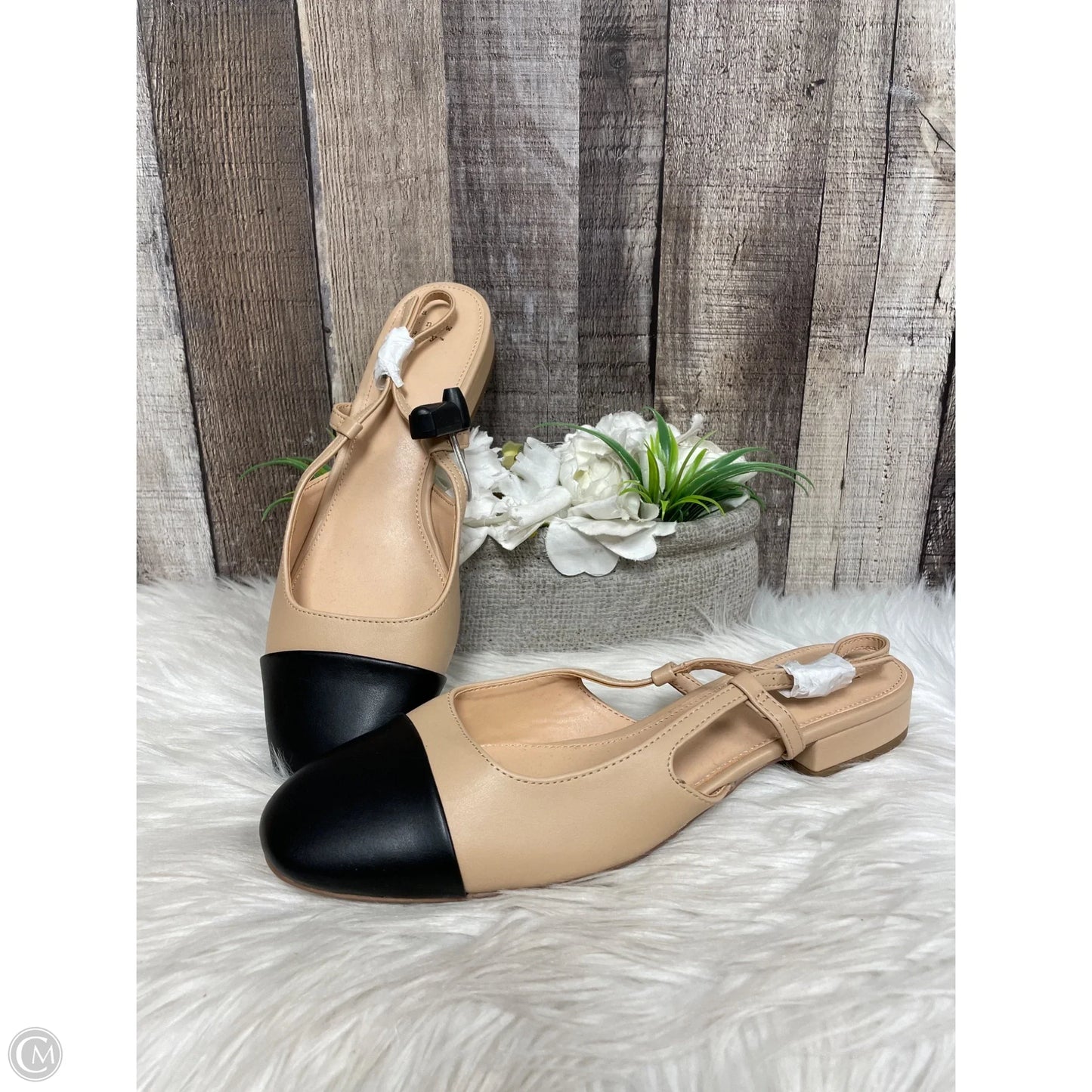 Shoes Flats By A New Day In Black & Tan, Size: 10
