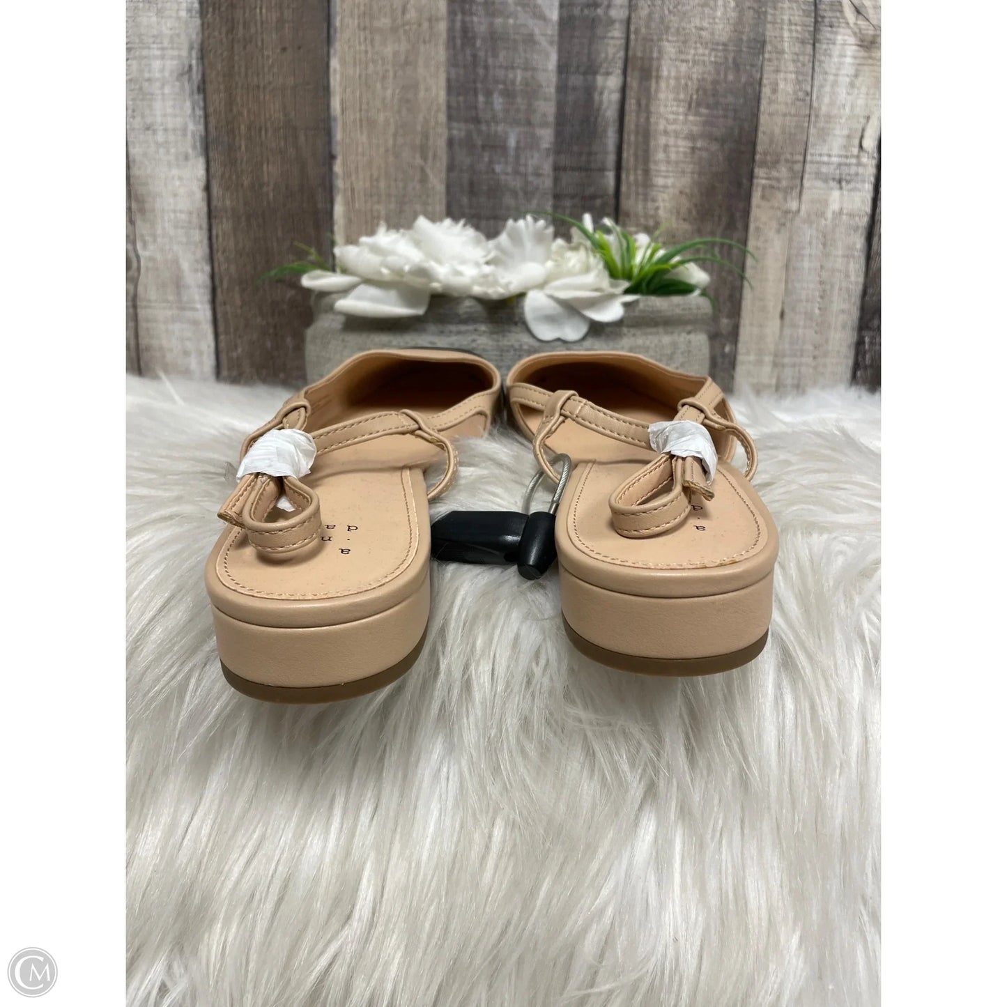 Shoes Flats By A New Day In Black & Tan, Size: 10