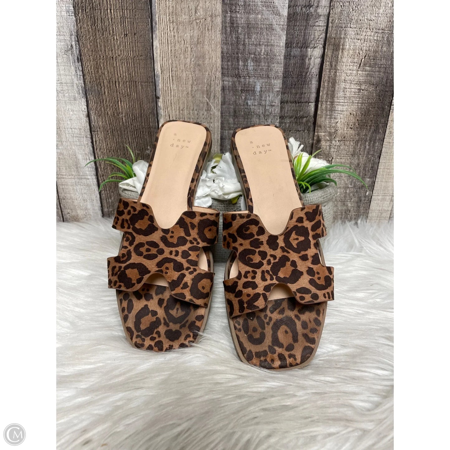 Sandals Flats By A New Day In Animal Print, Size: 7