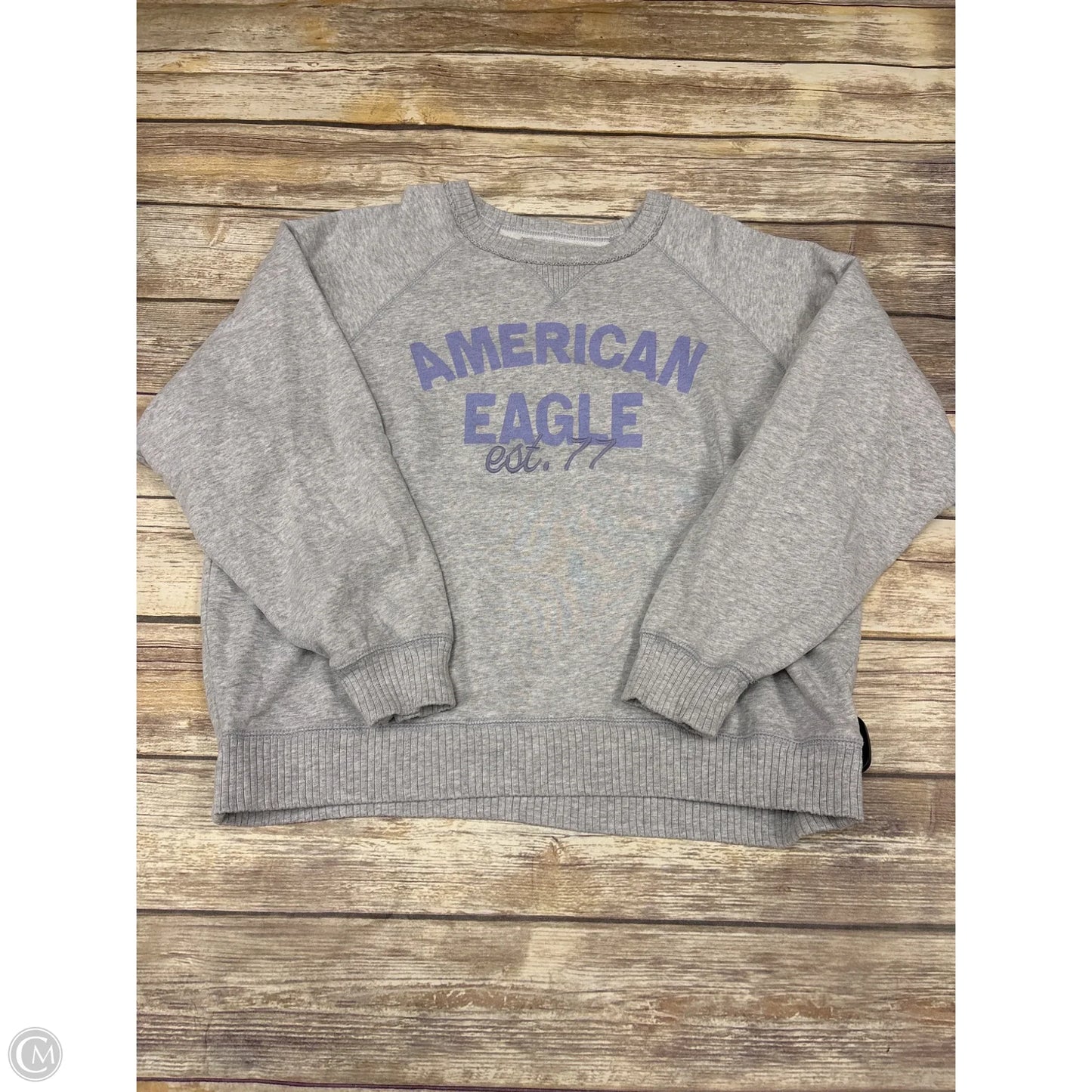 Sweatshirt Crewneck By American Eagle In Grey, Size: L