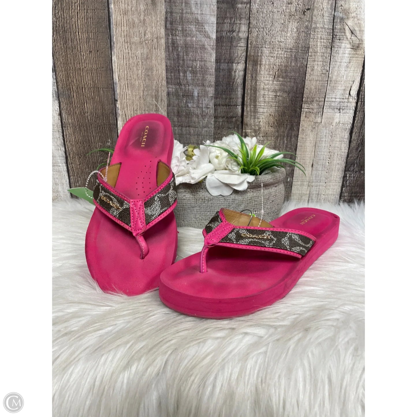 Sandals Designer By Coach In Pink, Size: 9