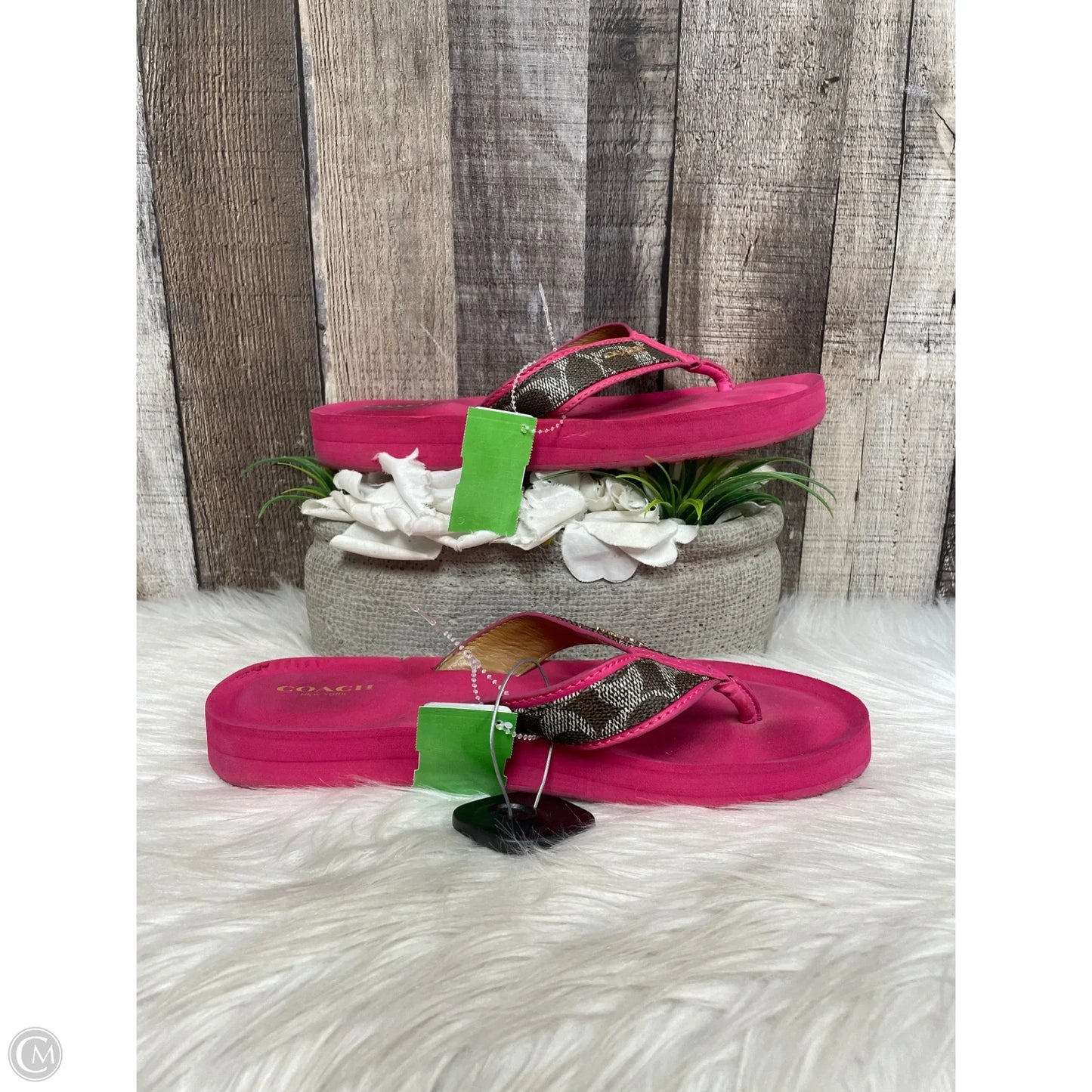 Sandals Designer By Coach In Pink, Size: 9