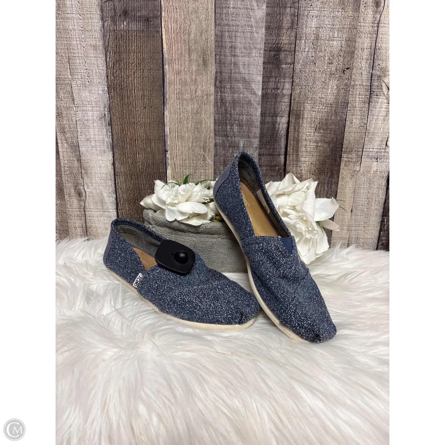 Shoes Flats By Toms In Blue, Size: 7