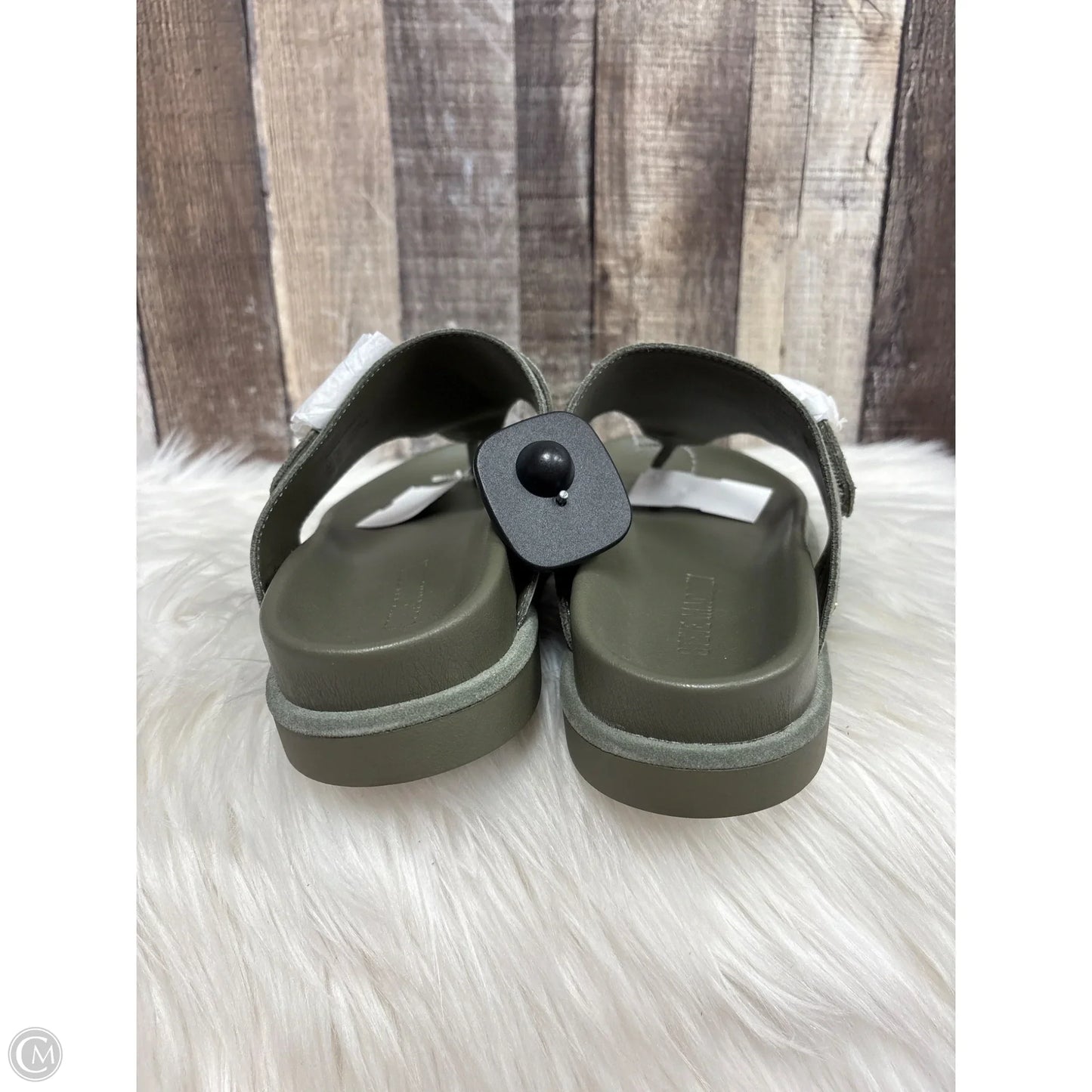 Sandals Flats By Steve Madden In Green, Size: 8.5