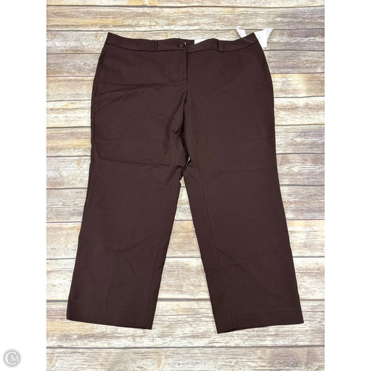 Pants Other By Charter Club In Brown, Size: 22
