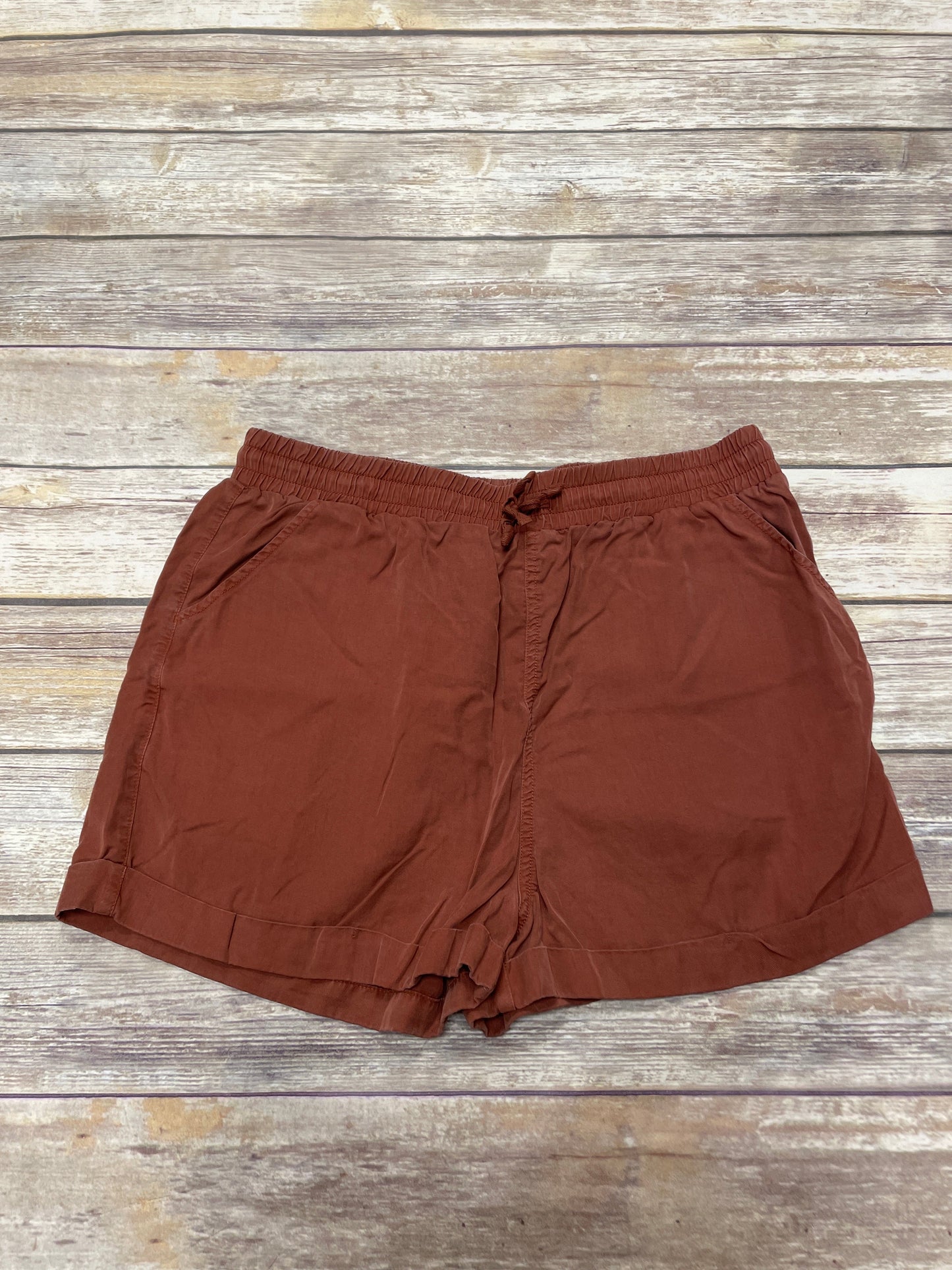 Brown Shorts Universal Thread, Size L