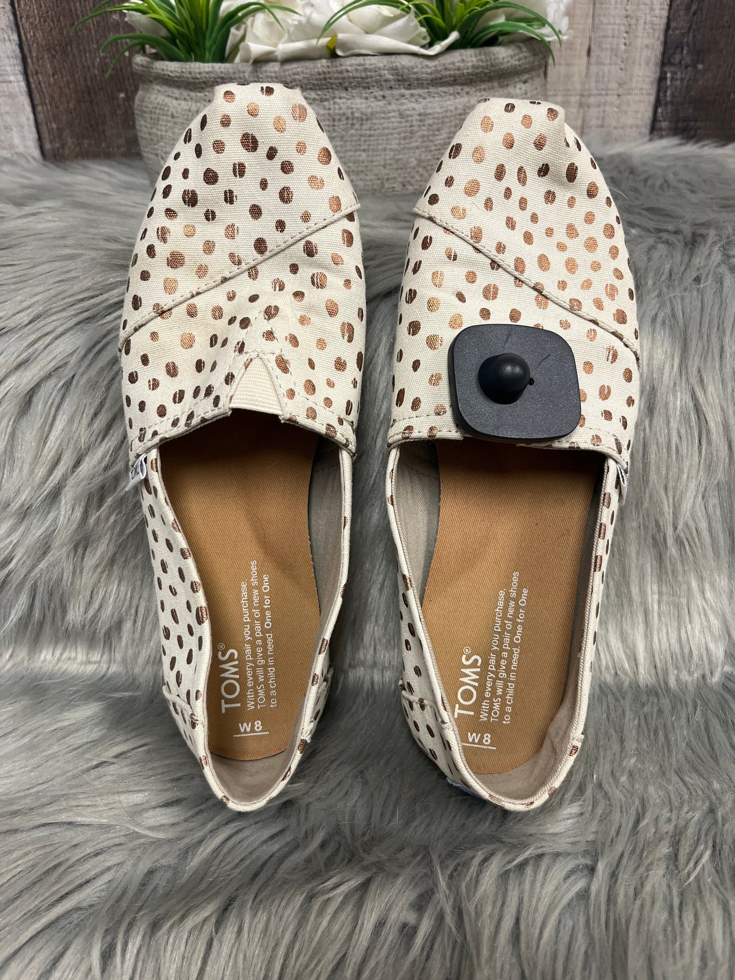 Shoes Flats By Toms In Polkadot Pattern, Size: 8