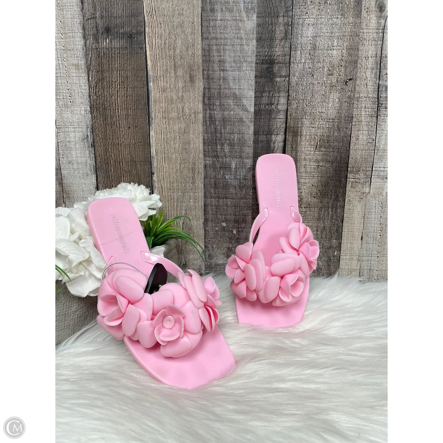 Sandals Flats By Jeffery Campbell In Pink, Size: 8