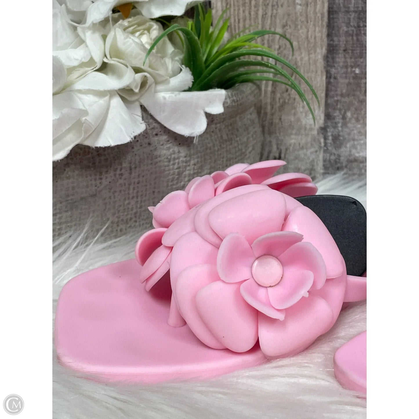 Sandals Flats By Jeffery Campbell In Pink, Size: 8