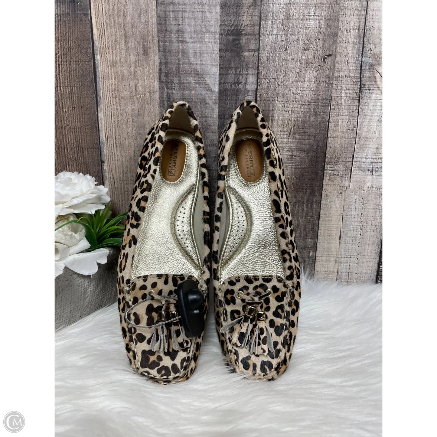 Shoes Flats By Sperry In Animal Print, Size: 9.5