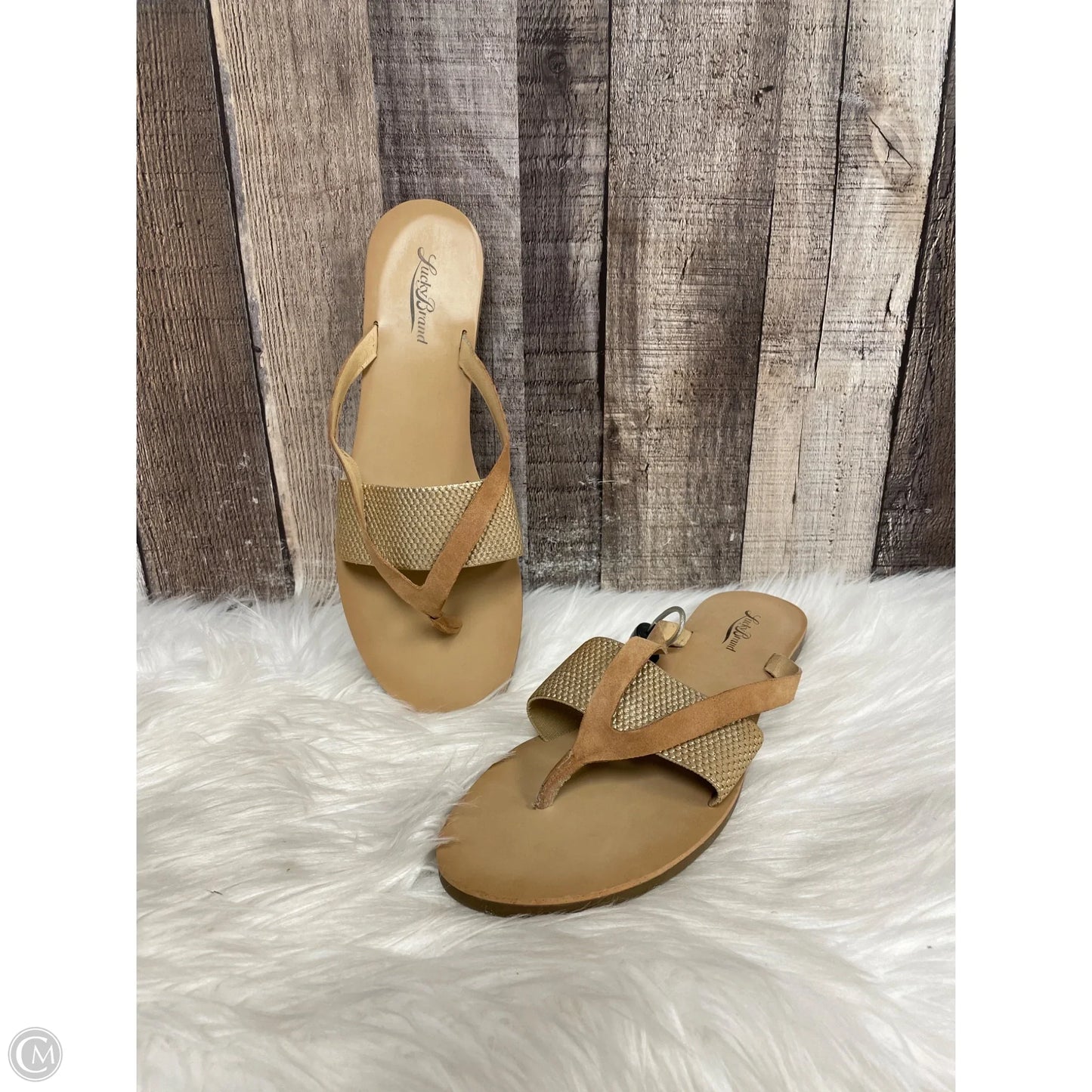 Sandals Flats By Lucky Brand In Tan, Size: 9.5