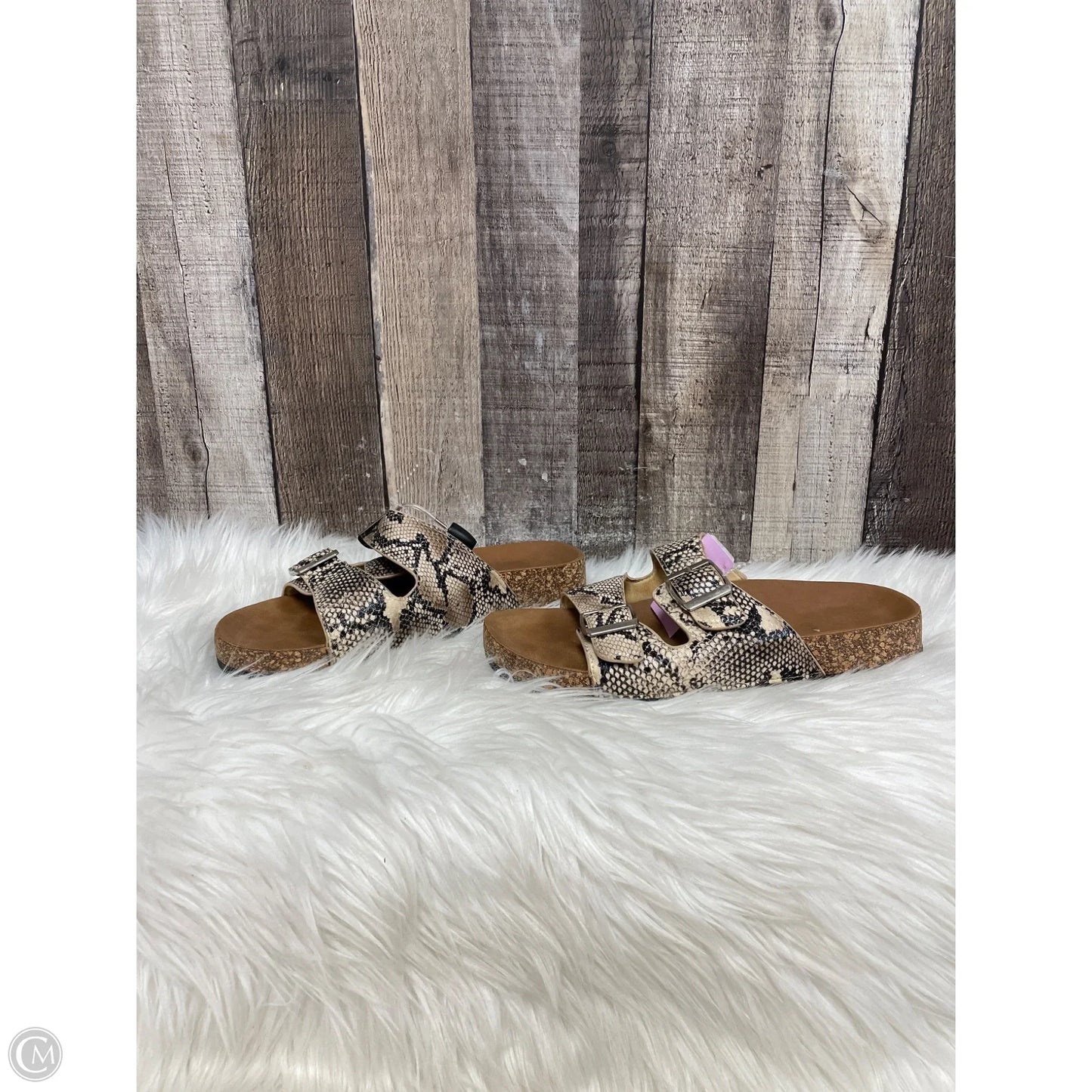 Shoes Flats By Cme In Snakeskin Print, Size: 7