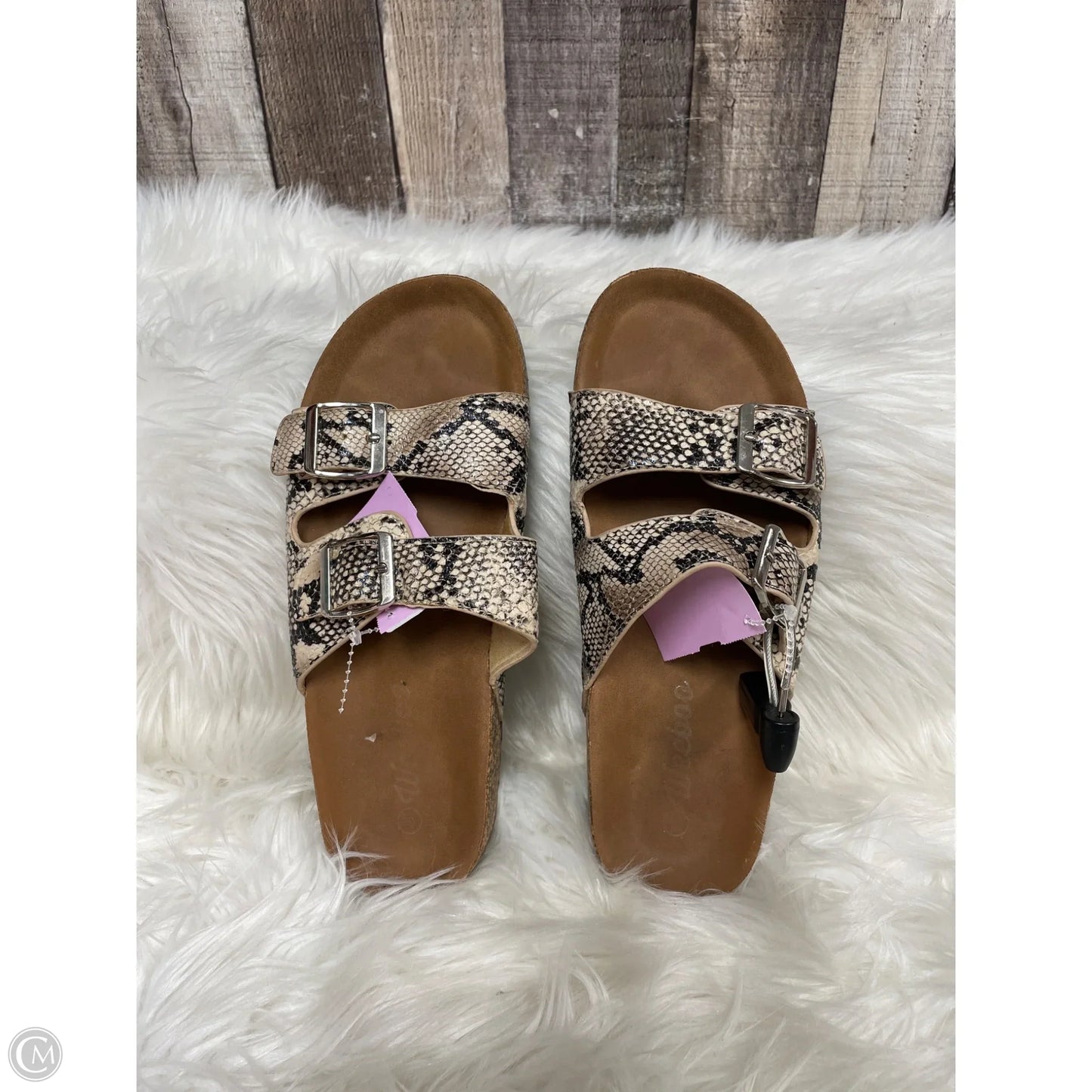 Shoes Flats By Cme In Snakeskin Print, Size: 7