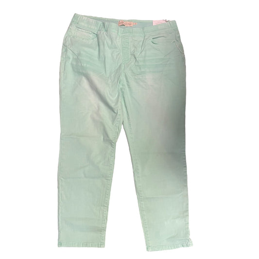 Jeans Straight By Soft Surroundings In Green, Size: 2x