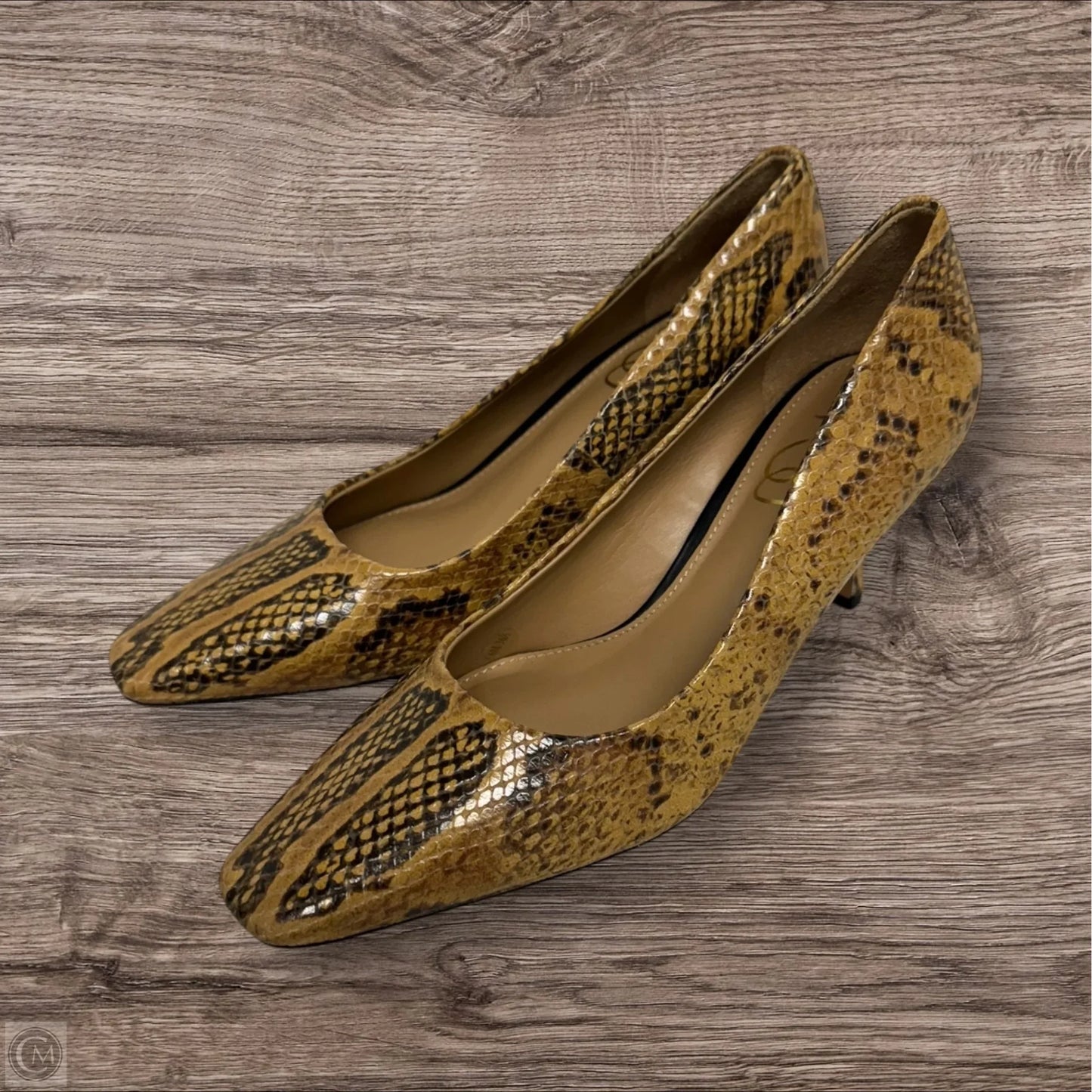 Shoes Heels Kitten By Sam Edelman In Snakeskin Print, Size: 5