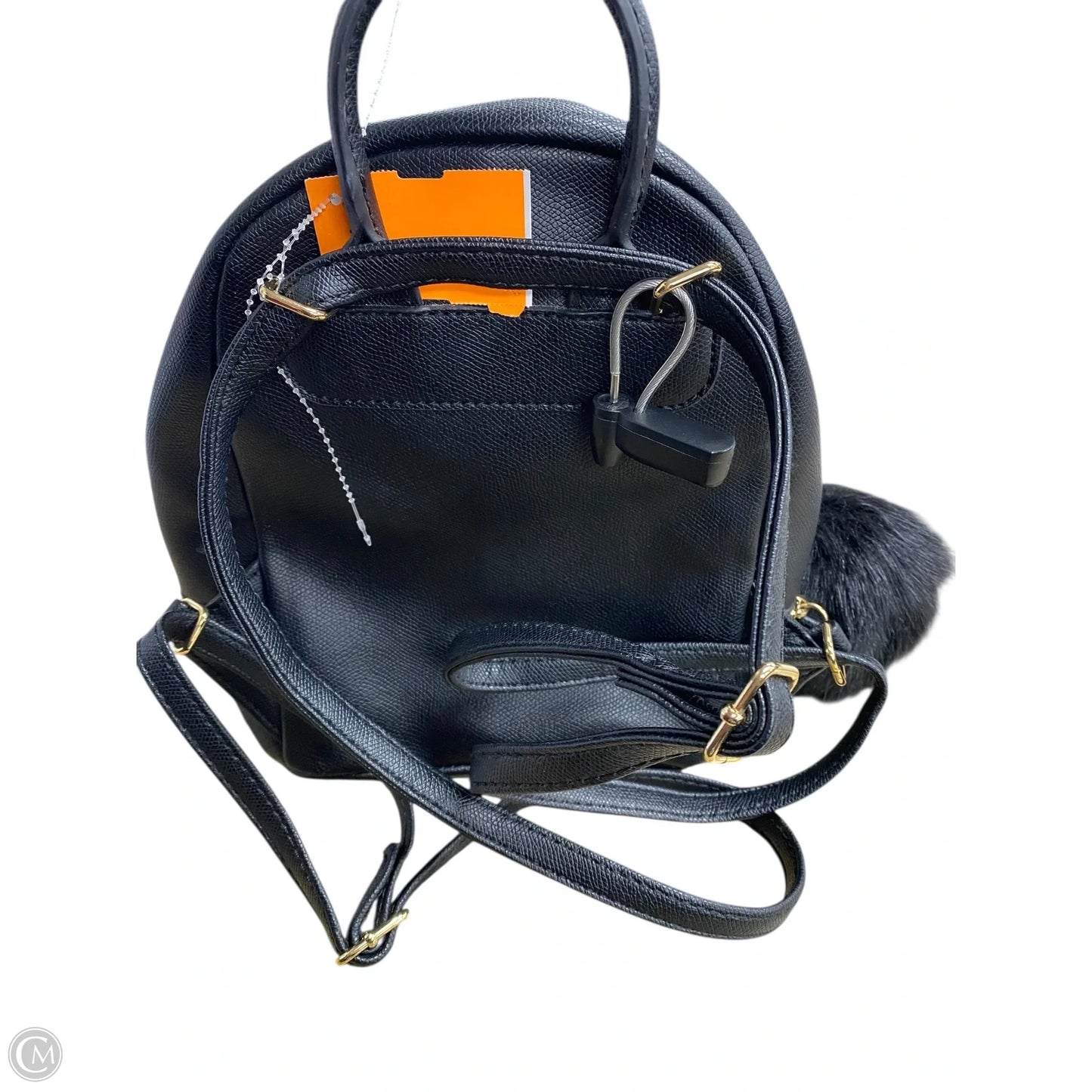 Backpack By Aldo, Size: Small