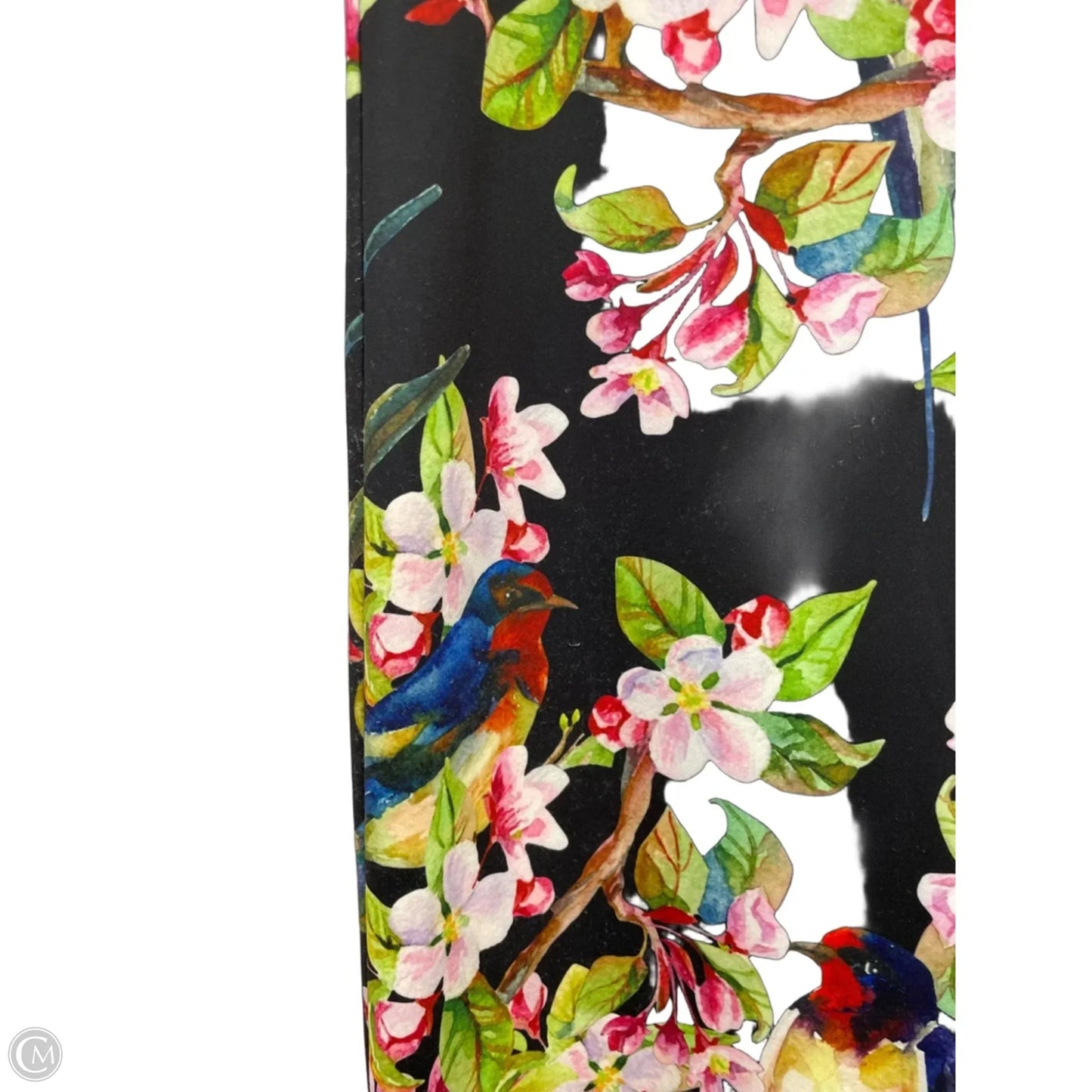Pants Wide Leg By Clothes Mentor In Black & Green, Size: M