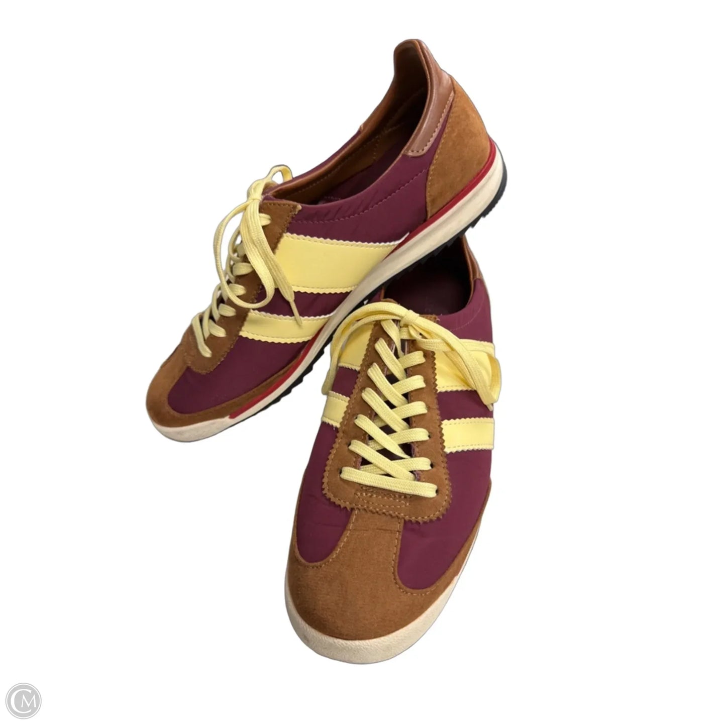 Shoes Sneakers By Madden Girl In Brown & Cream, Size: 9