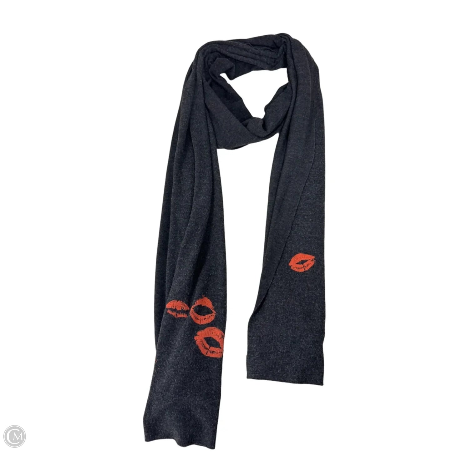 Scarf Long By Wildfox