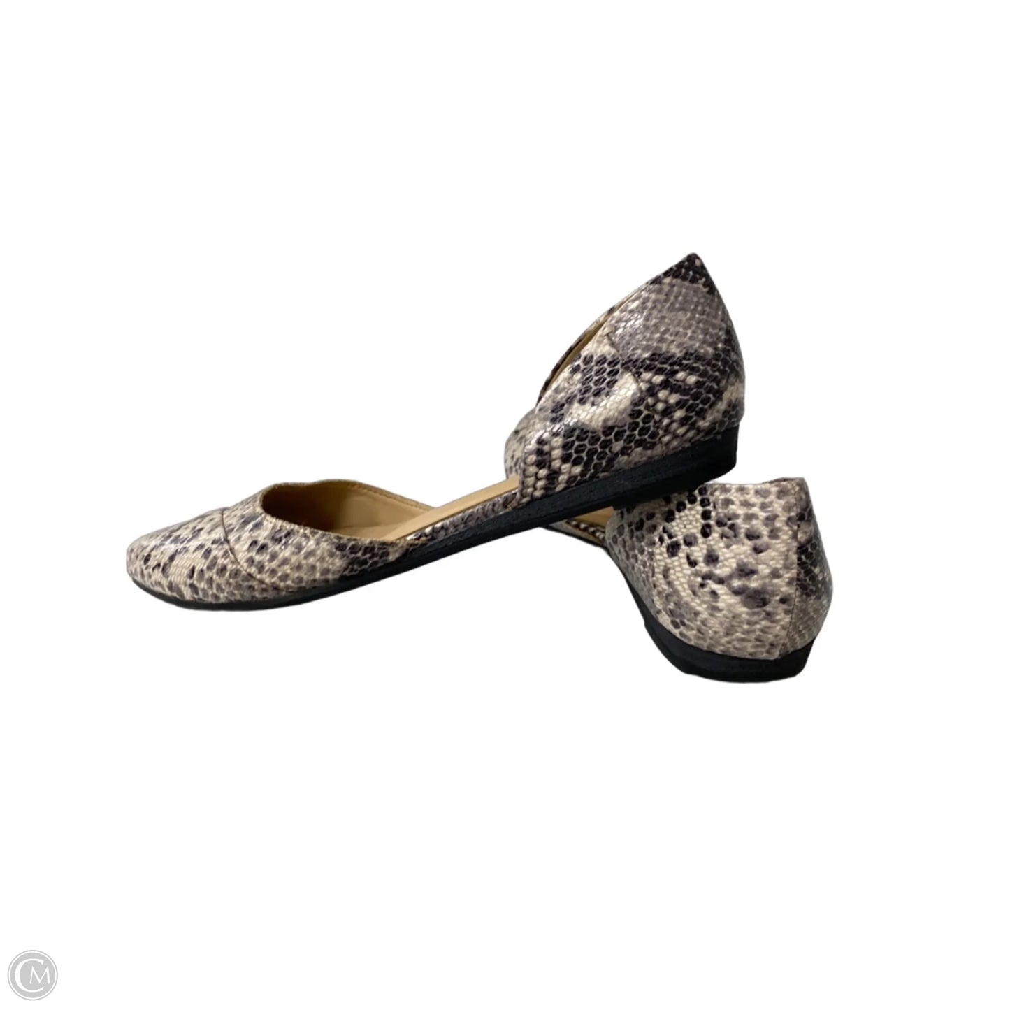 Shoes Flats By Abella In Snakeskin Print, Size: 7