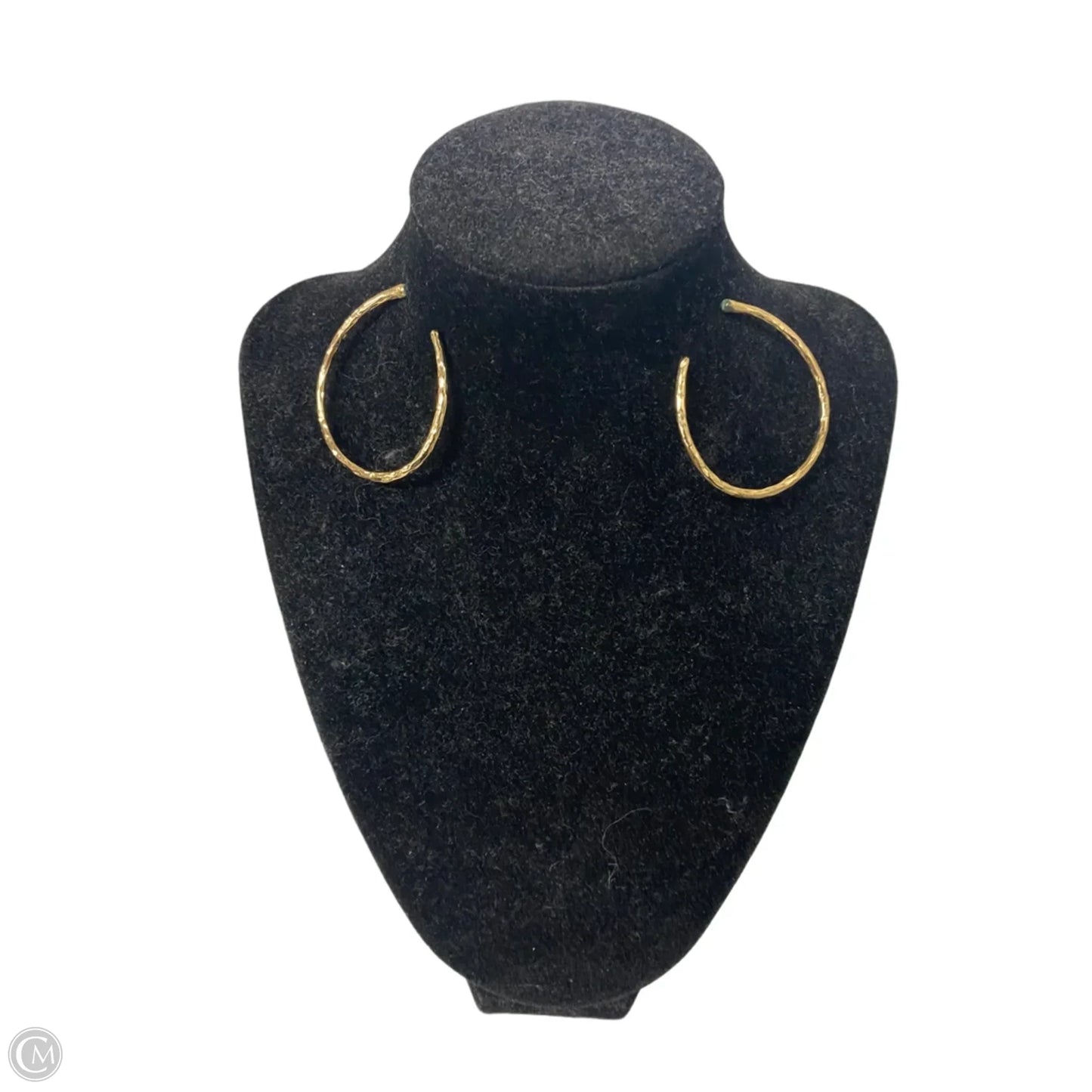 Earrings Hoop By Clothes Mentor