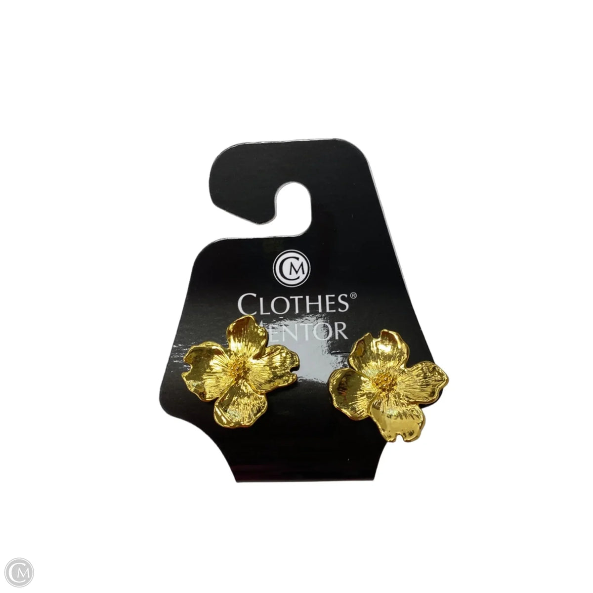 Earrings Other By Clothes Mentor