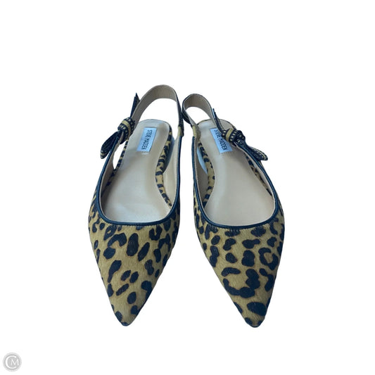 Shoes Flats By Steve Madden In Brown & Cream, Size: 7.5
