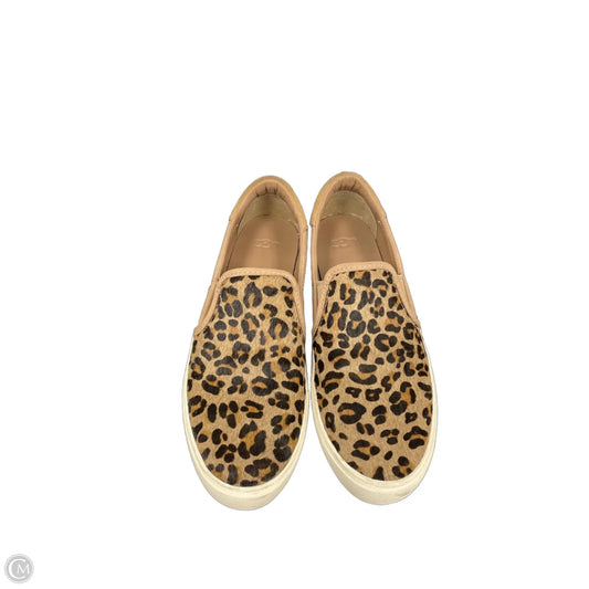 Shoes Sneakers By Ugg In Brown & Cream, Size: 8