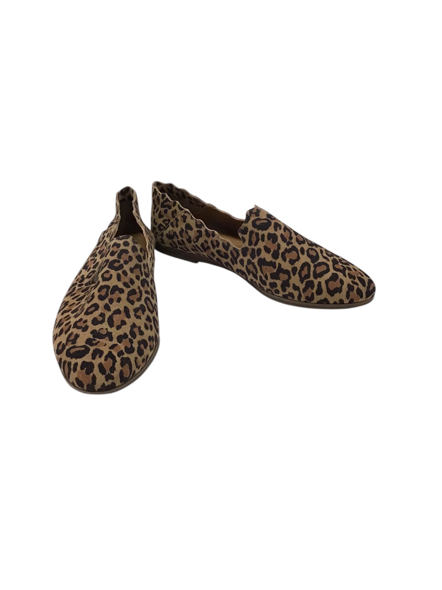 Shoes Flats By Lucky Brand In Animal Print, Size: 9.5