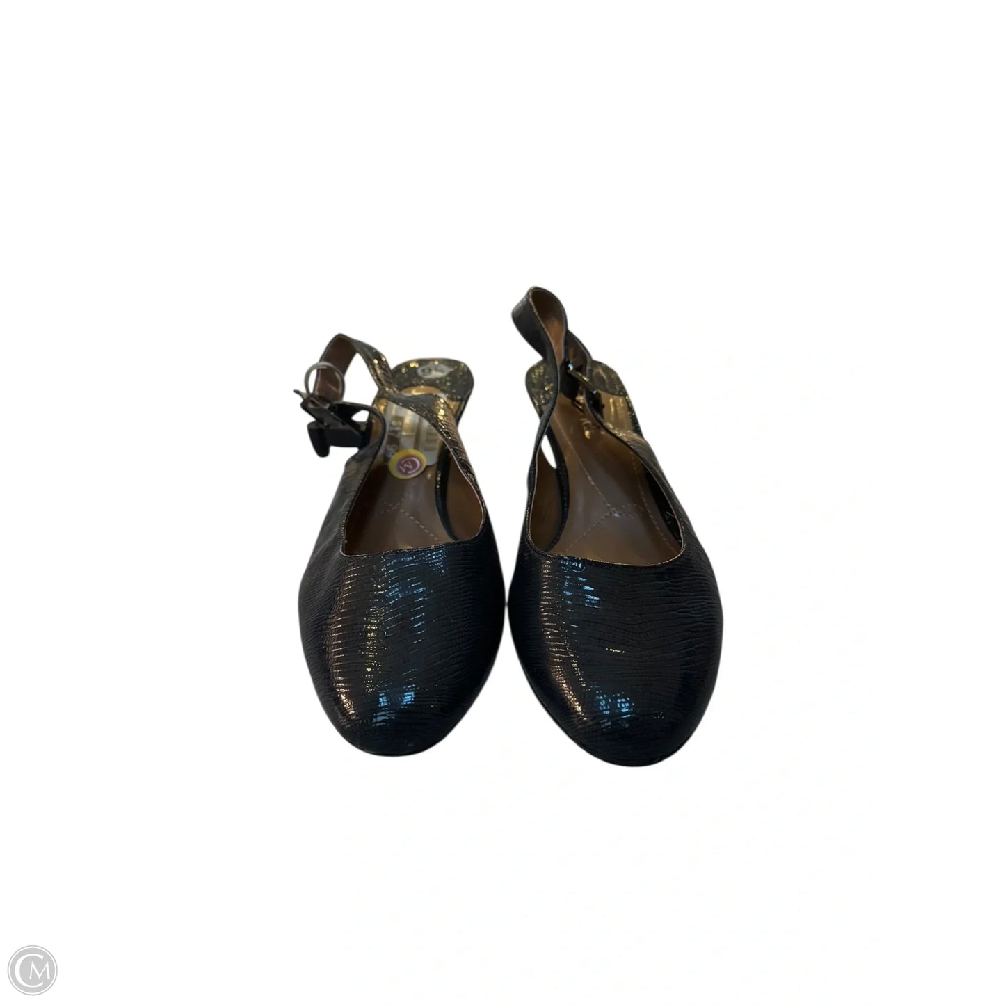 Shoes Heels Kitten By J Renee In Blue, Size: 9.5