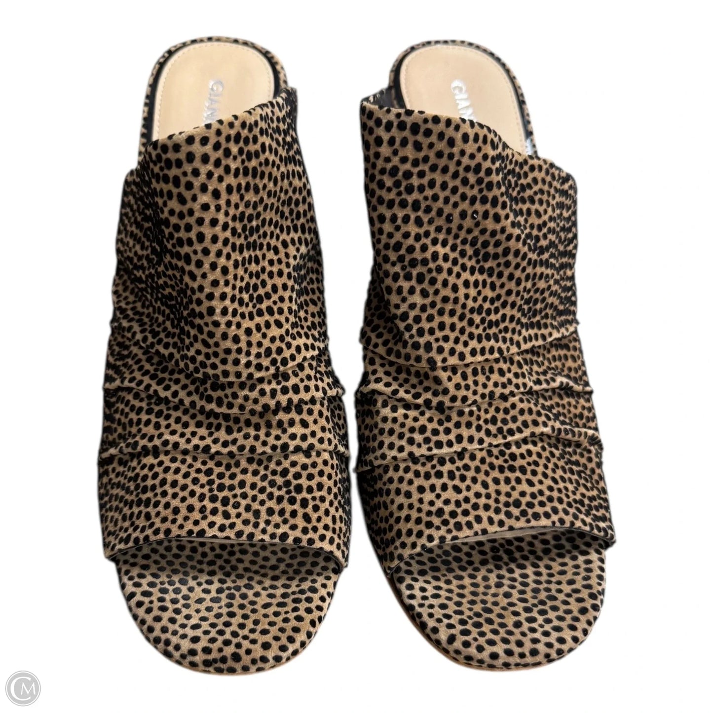 Shoes Heels Block By Giani Bernini In Animal Print, Size: 10