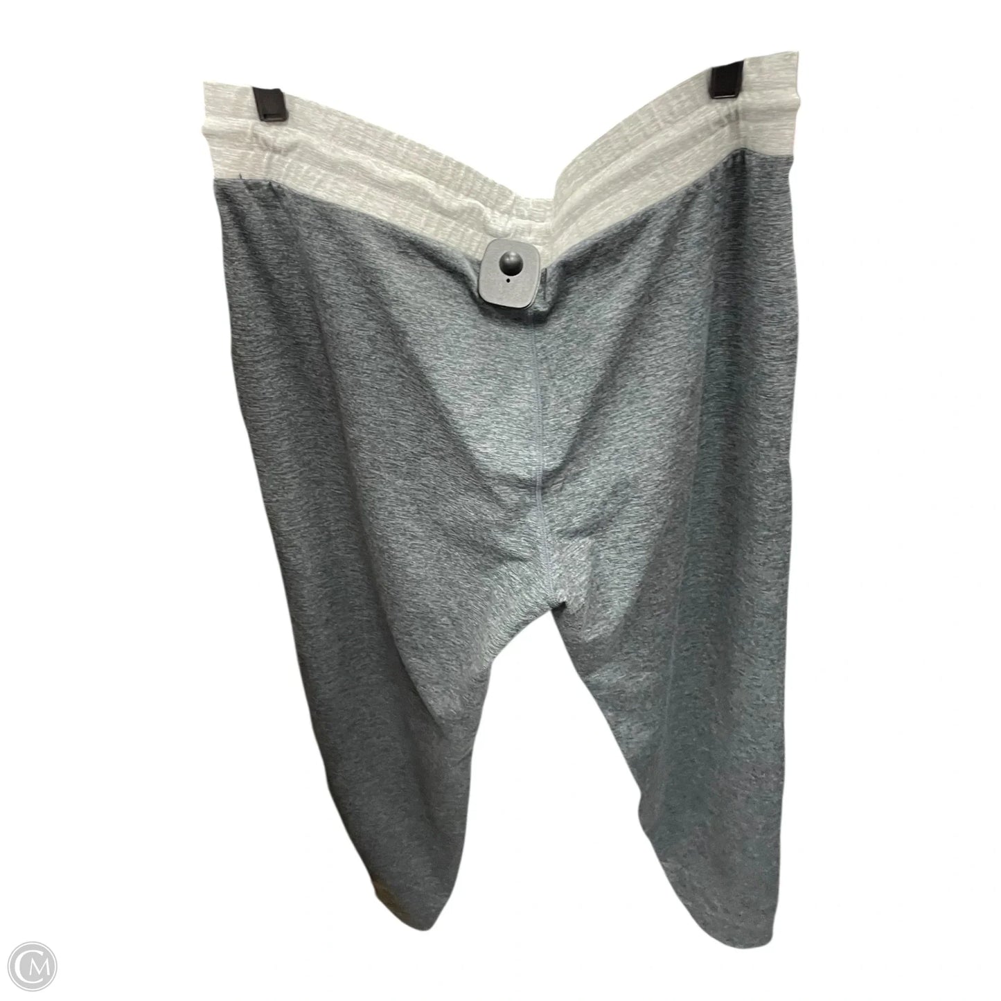 Pants Joggers By Marine Layer In Grey, Size: Xl