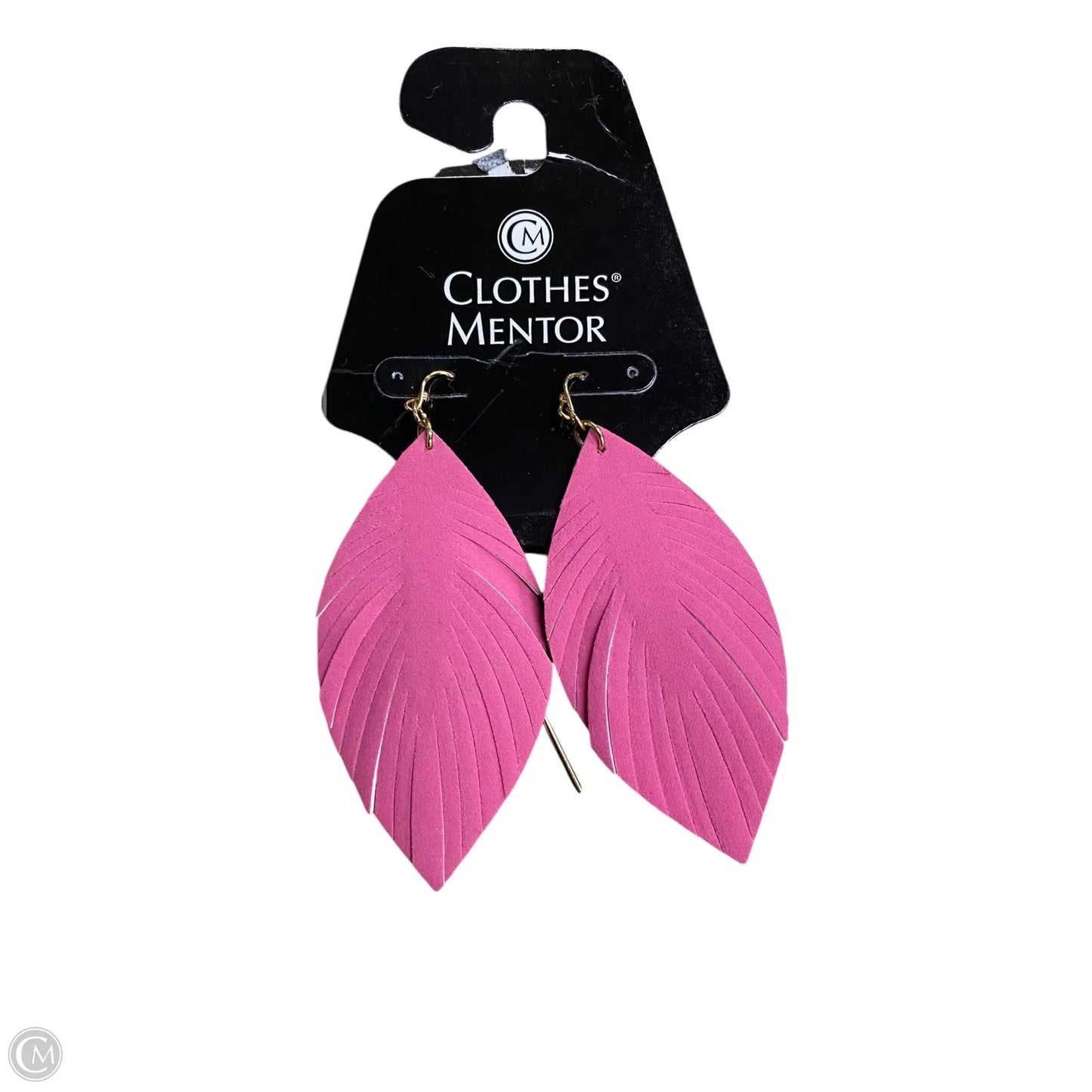 Earrings Dangle/drop By Clothes Mentor