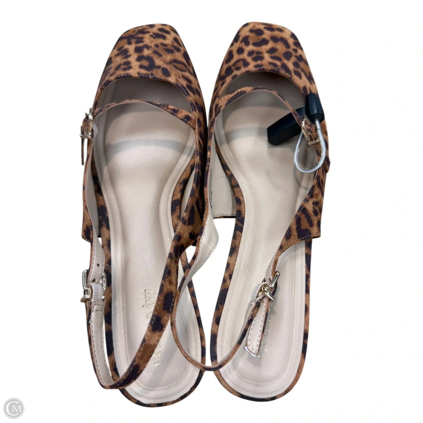 Shoes Heels Kitten By Crown And Ivy In Animal Print, Size: 11