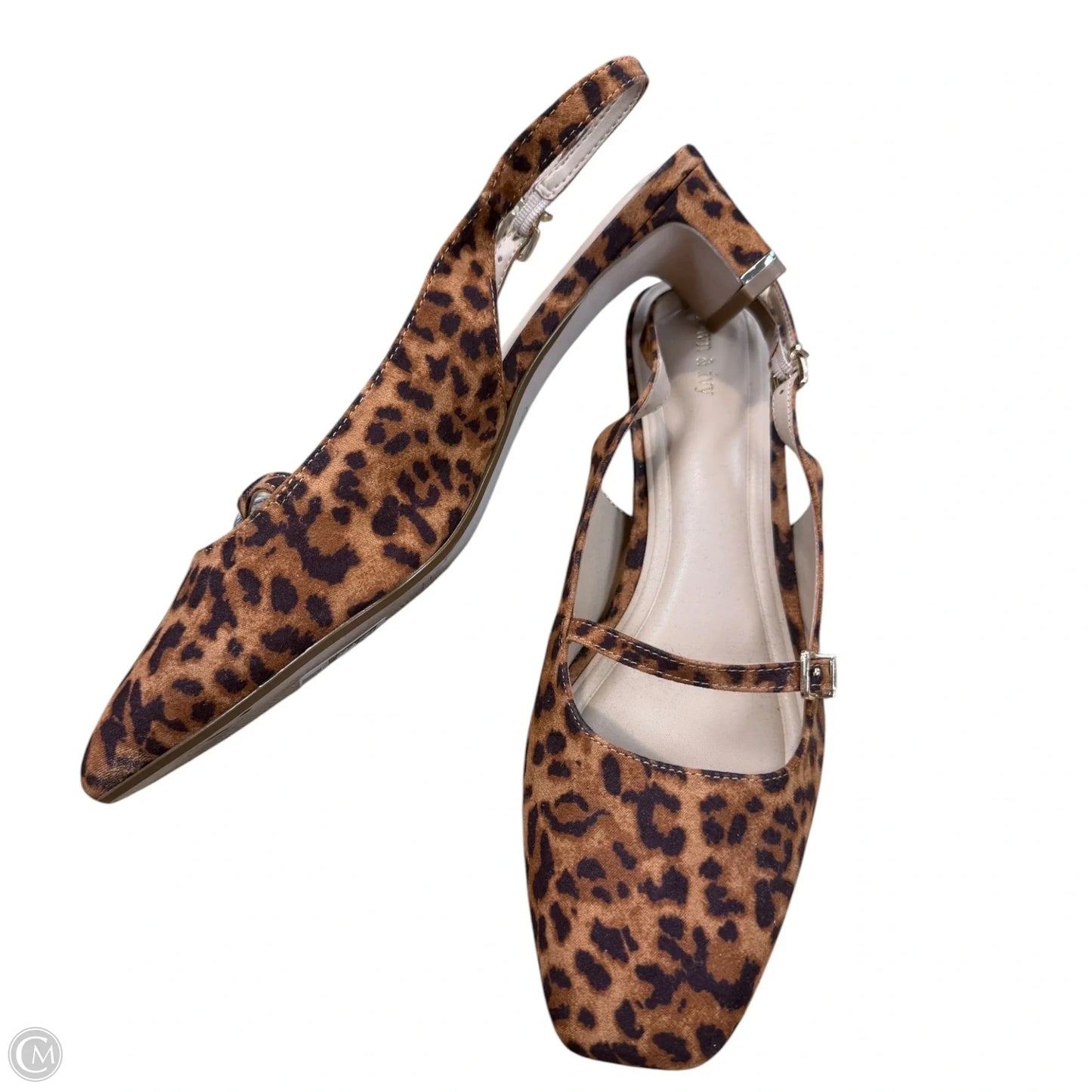 Shoes Heels Kitten By Crown And Ivy In Animal Print, Size: 11