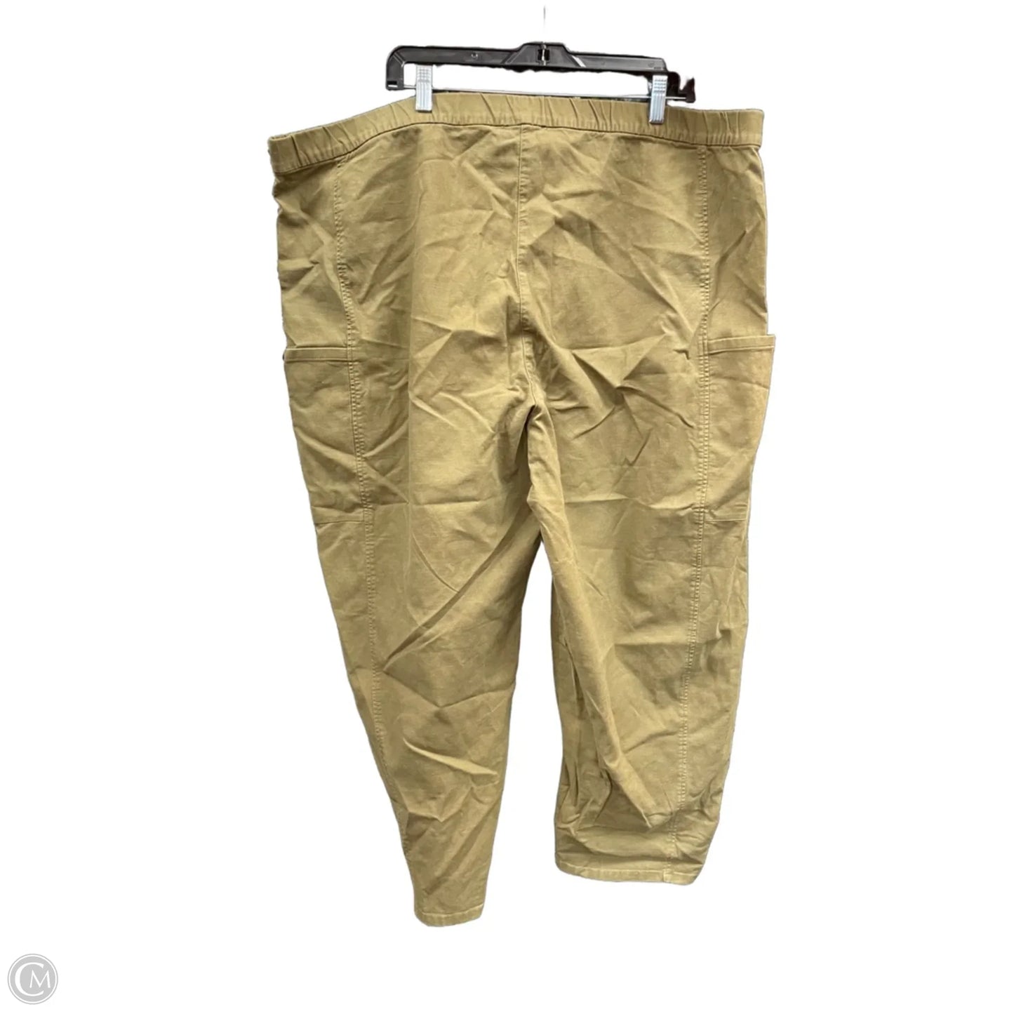 Pants Other By Eileen Fisher In Green, Size: 3x