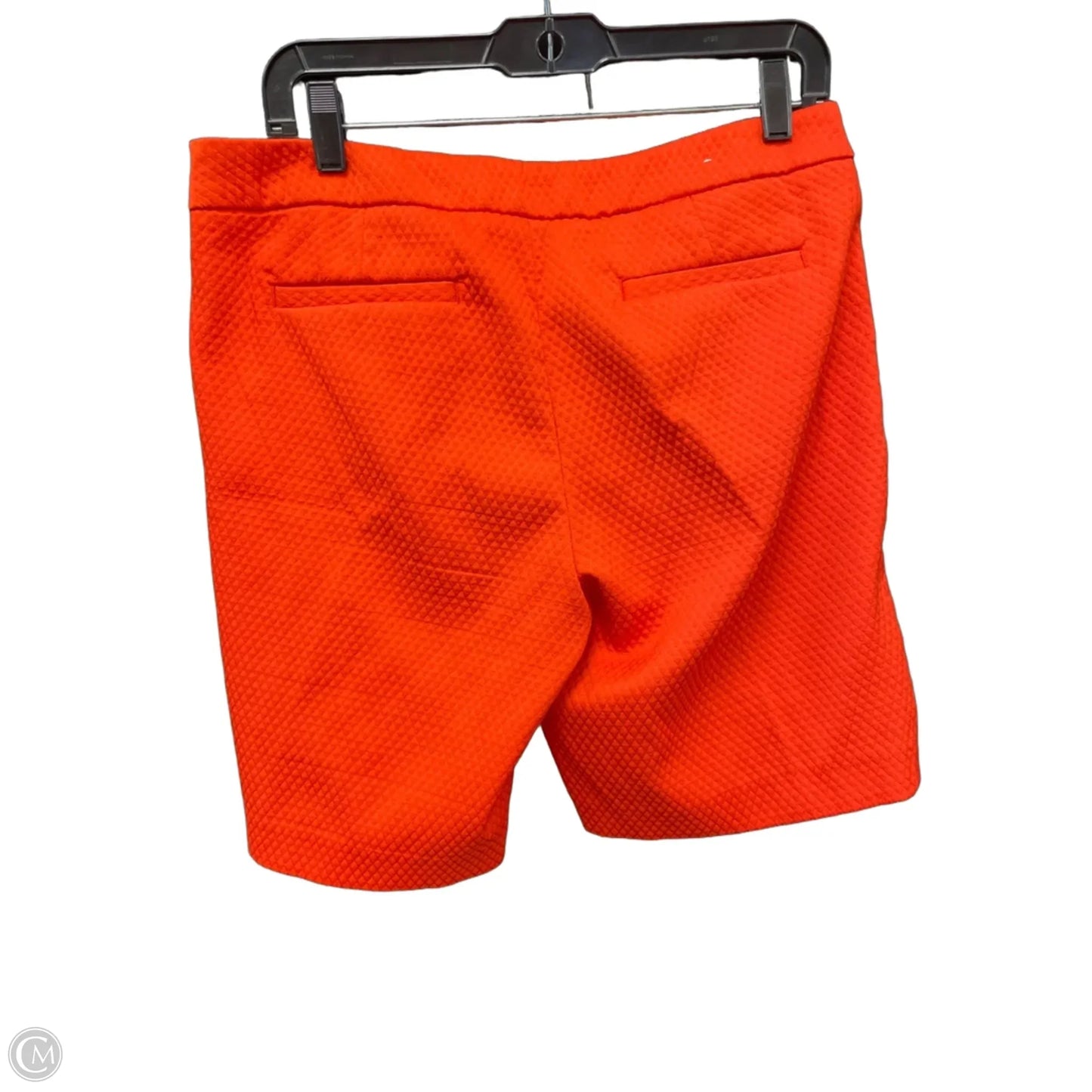 Shorts By Dalia Collection In Orange, Size: 10