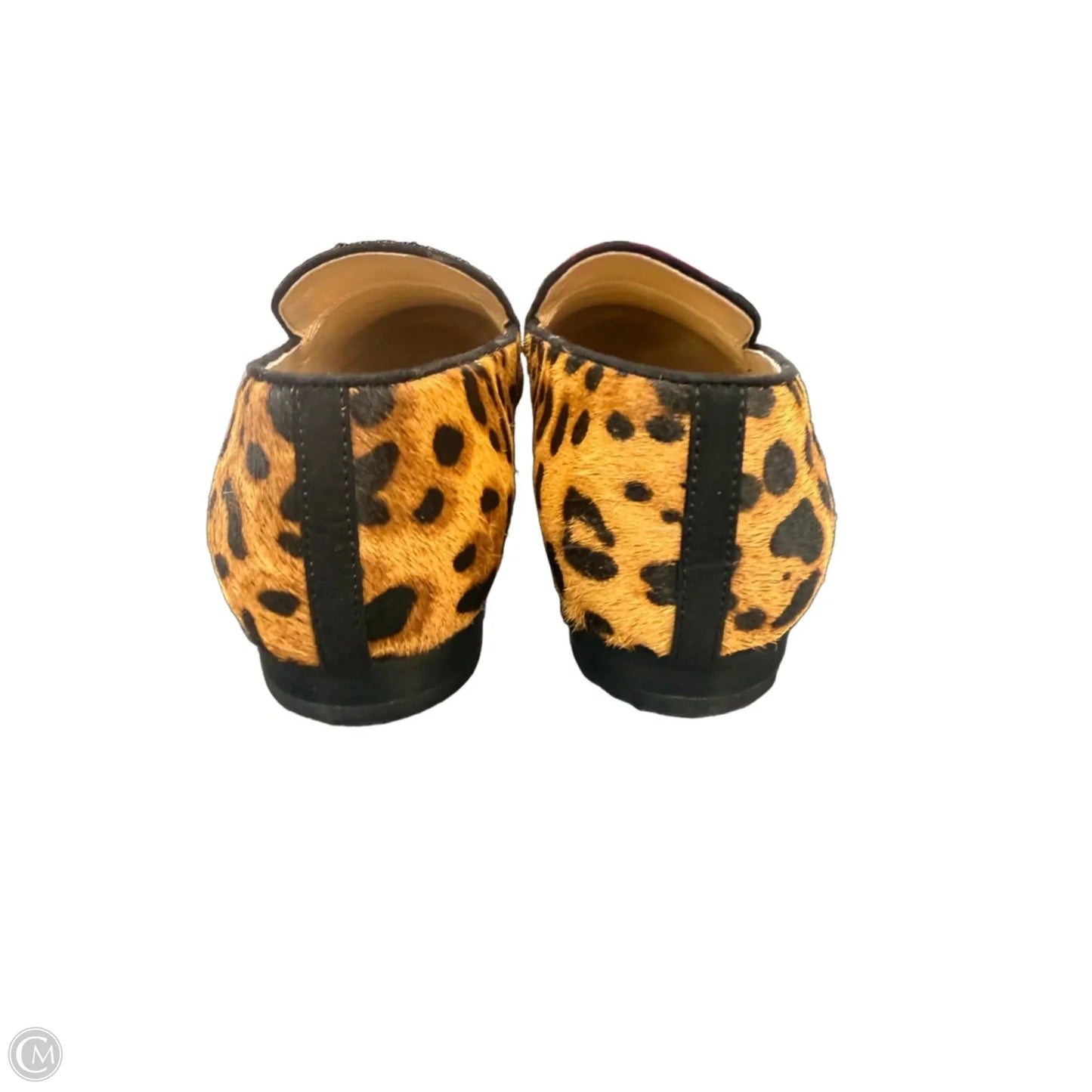 Shoes Flats By Ann Taylor In Animal Print, Size: 8