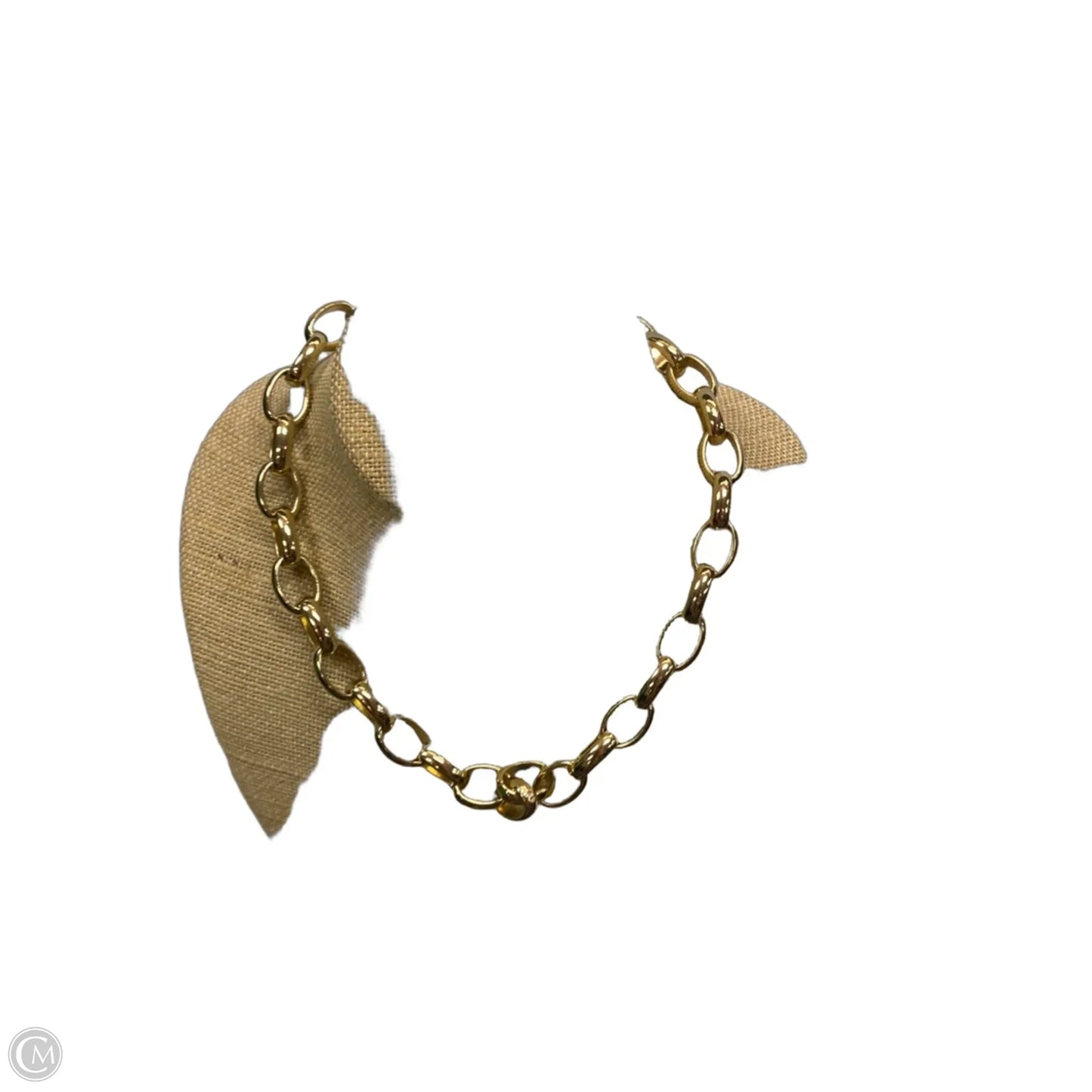 Necklace Chain By Clothes Mentor