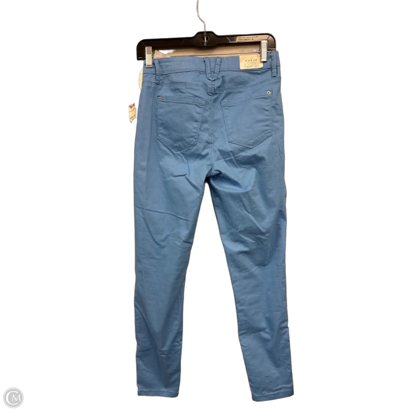 Jeans Jeggings By Curve Appeal In Blue, Size: 2
