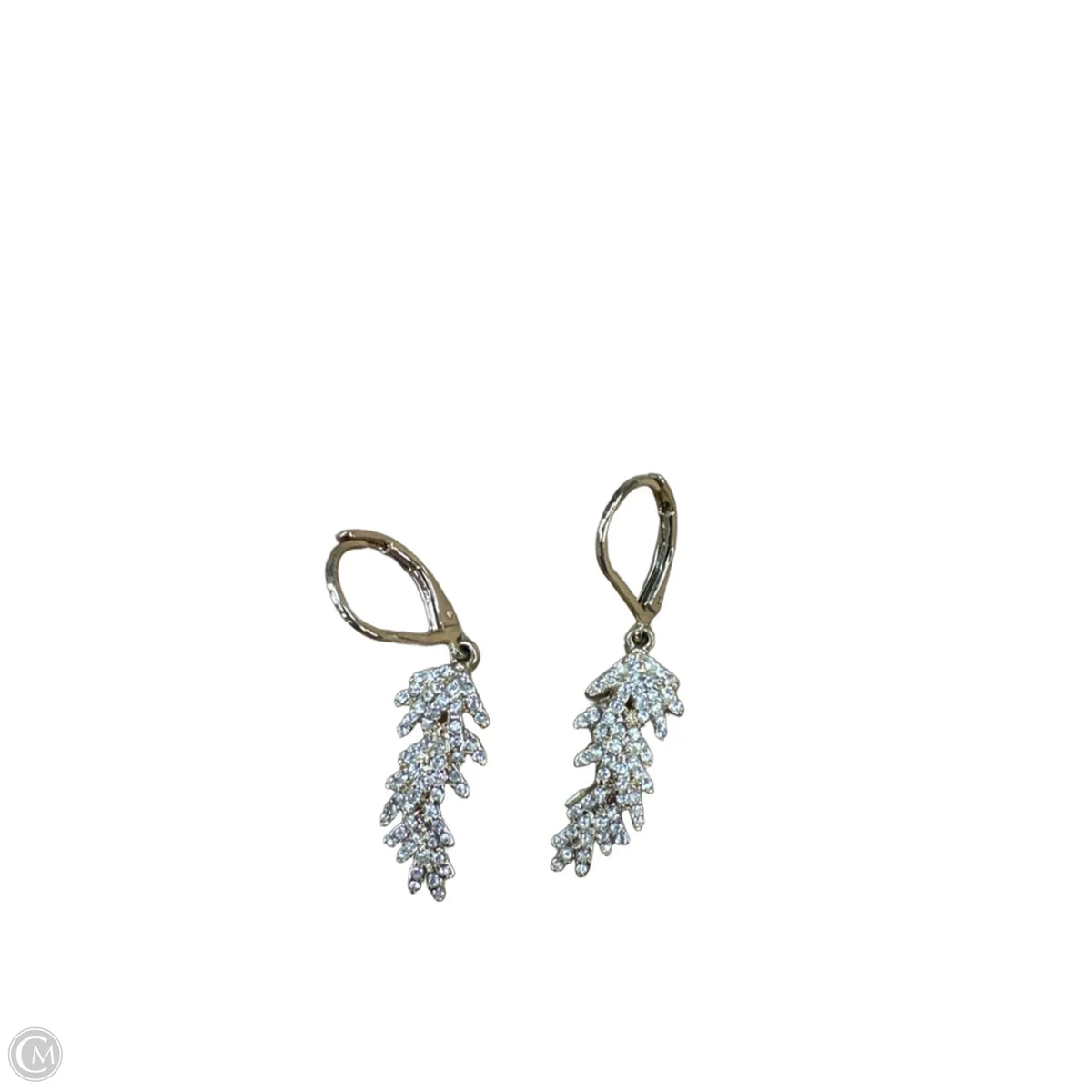Earrings Dangle/drop By Clothes Mentor